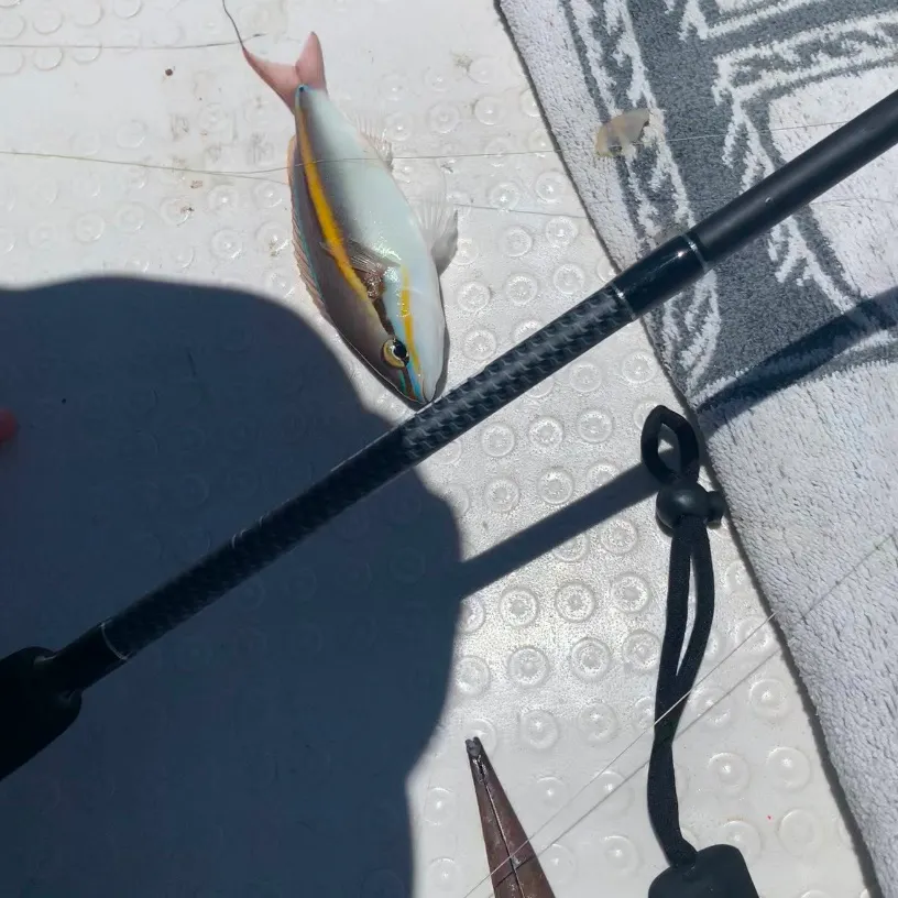 most liked catch image