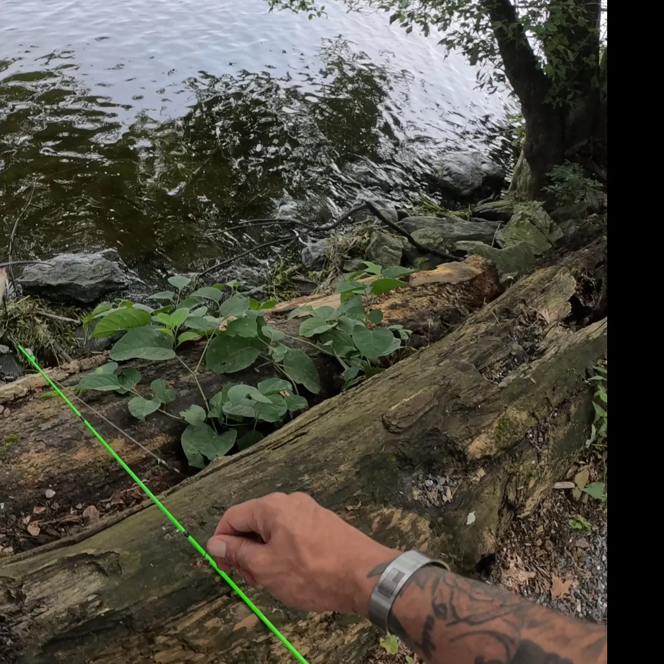 catch