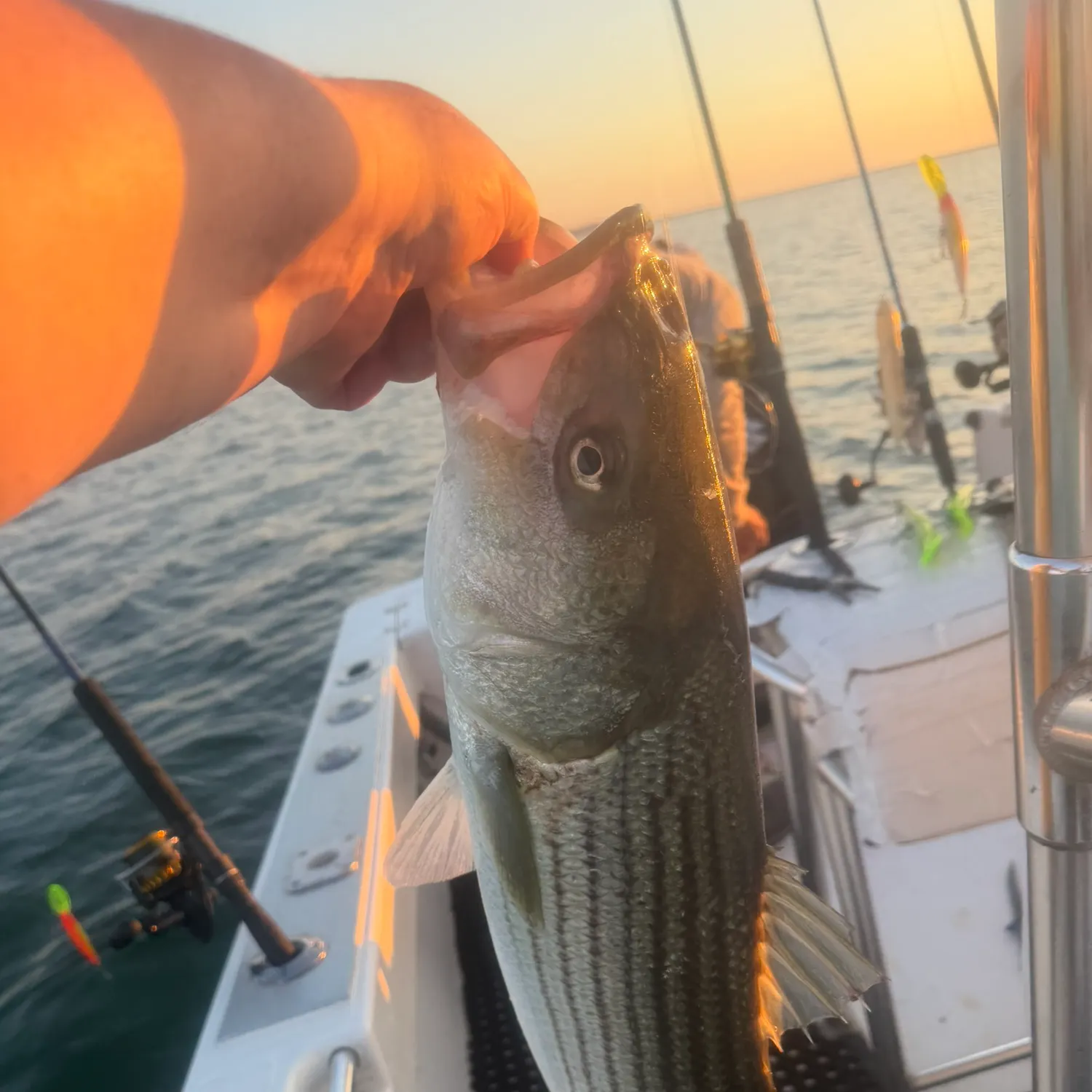catch