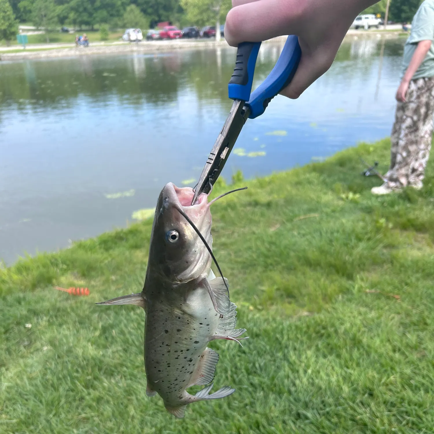 catch