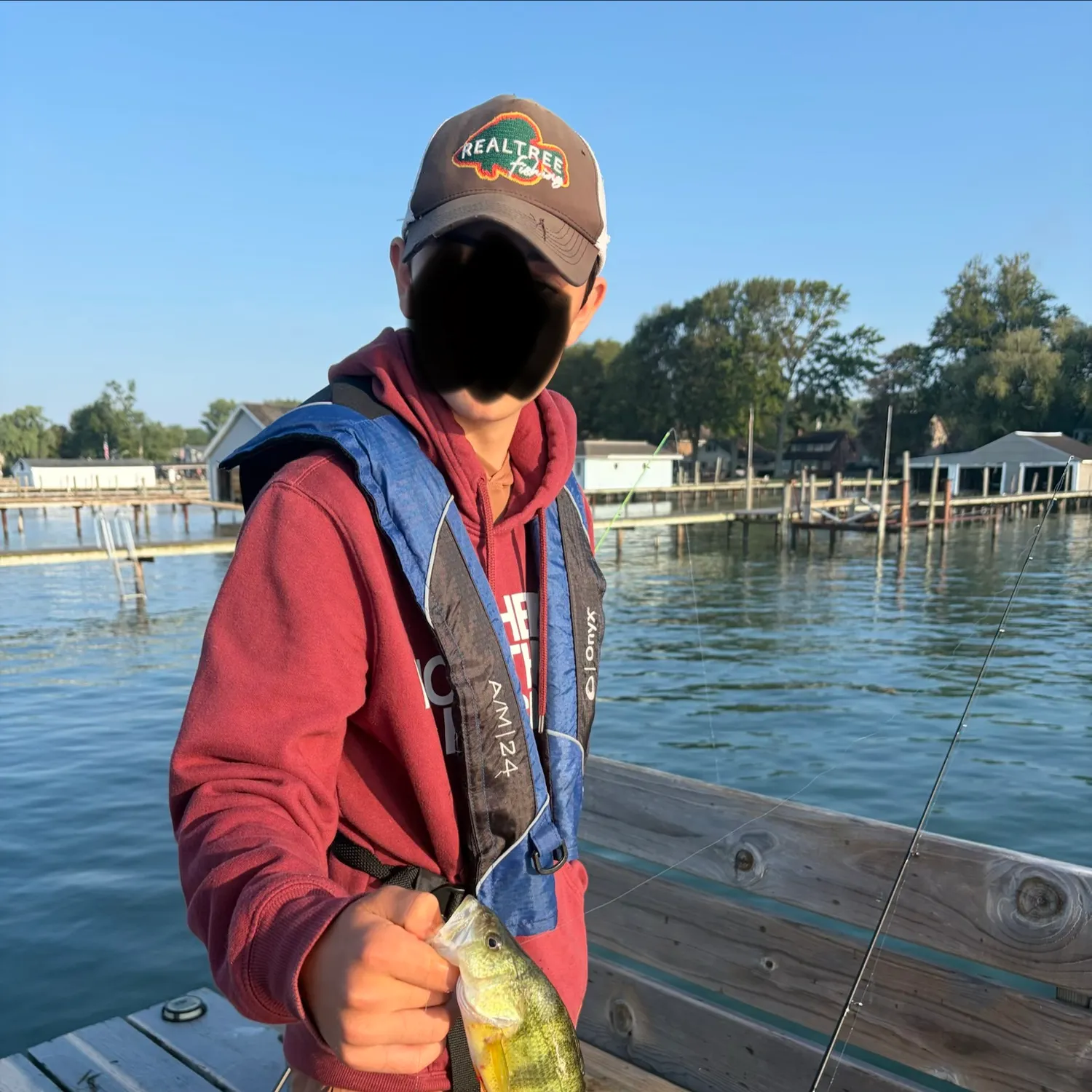 Yellow perch caught on Fishbrain