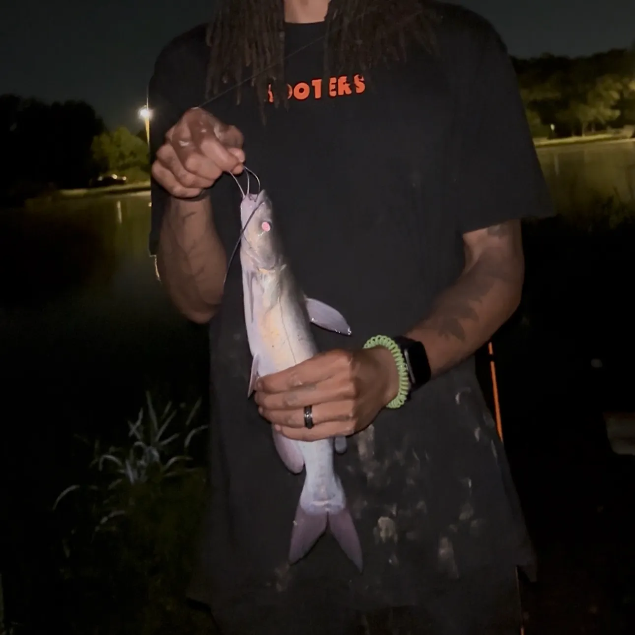 Channel catfish caught on Fishbrain