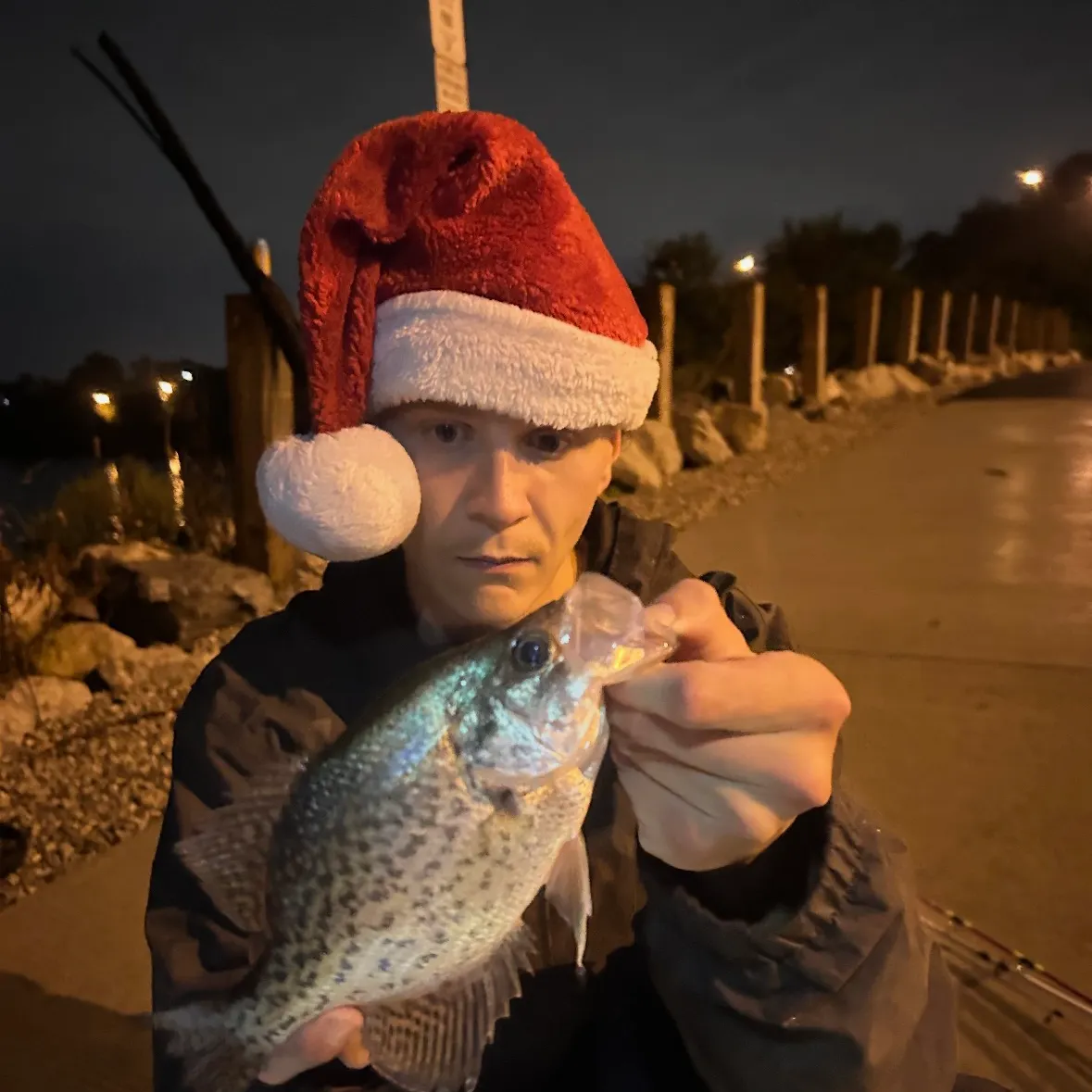 Black crappie caught on Fishbrain