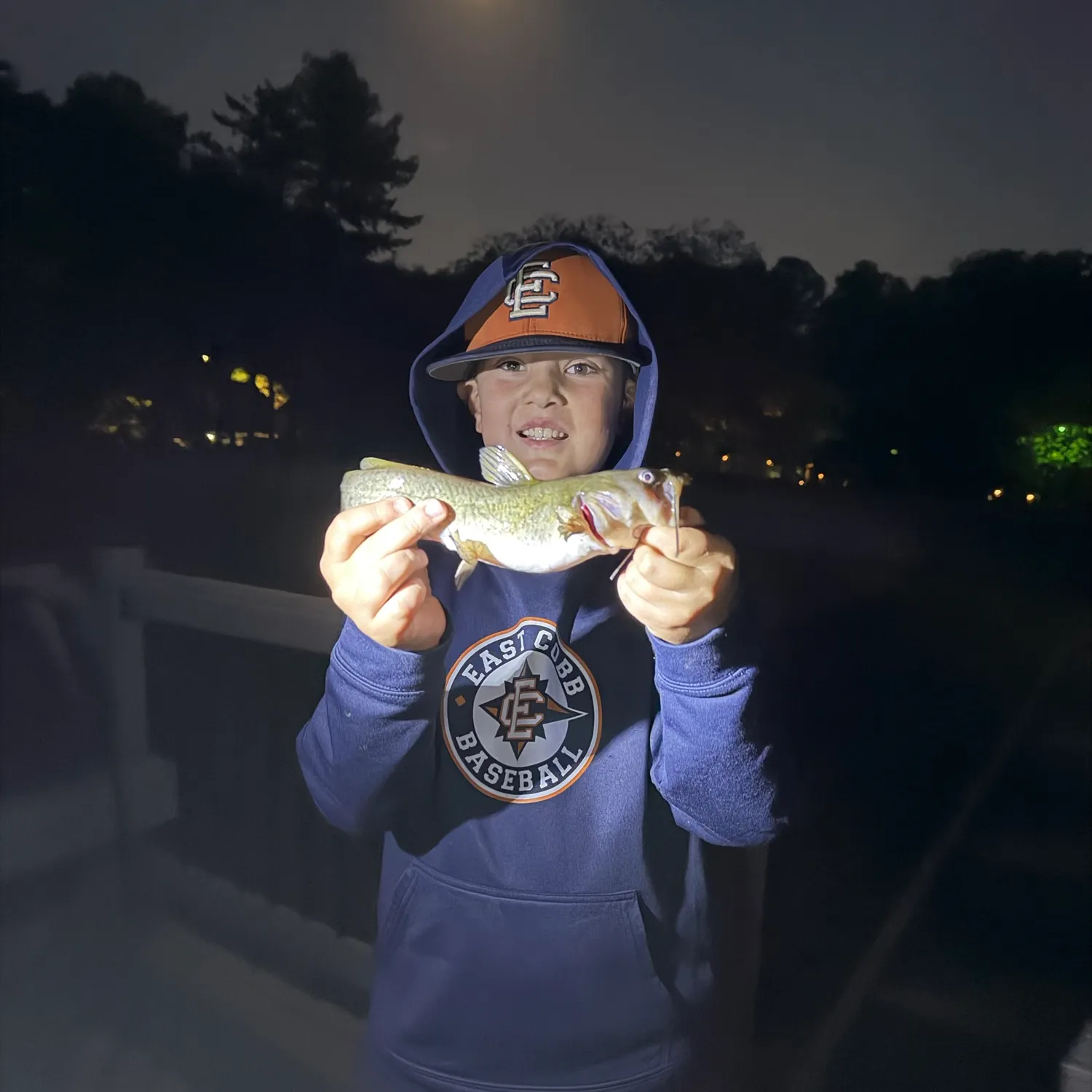 Brown bullhead caught on Fishbrain