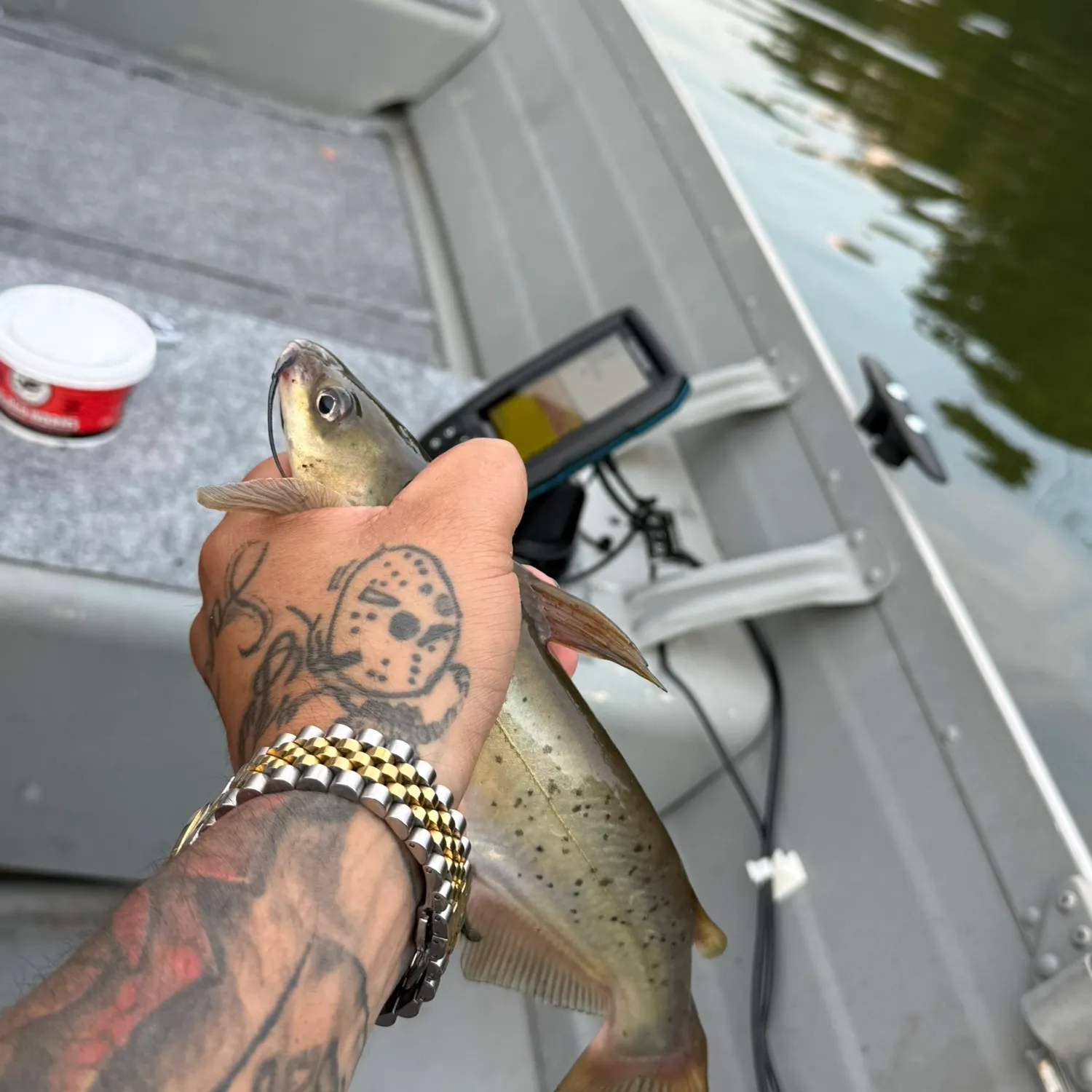 Channel catfish caught on Fishbrain