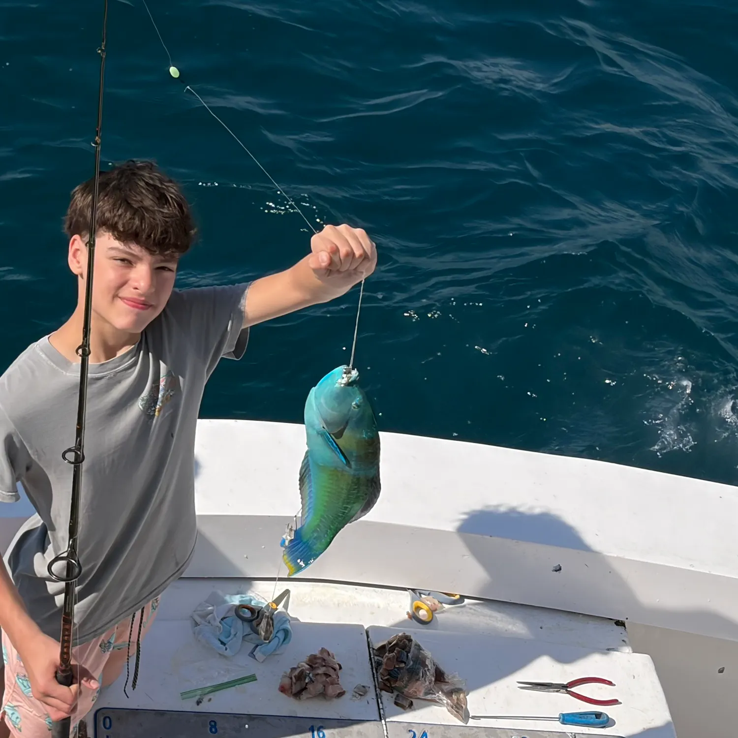 The most recent Common parrotfish catches on Fishbrain