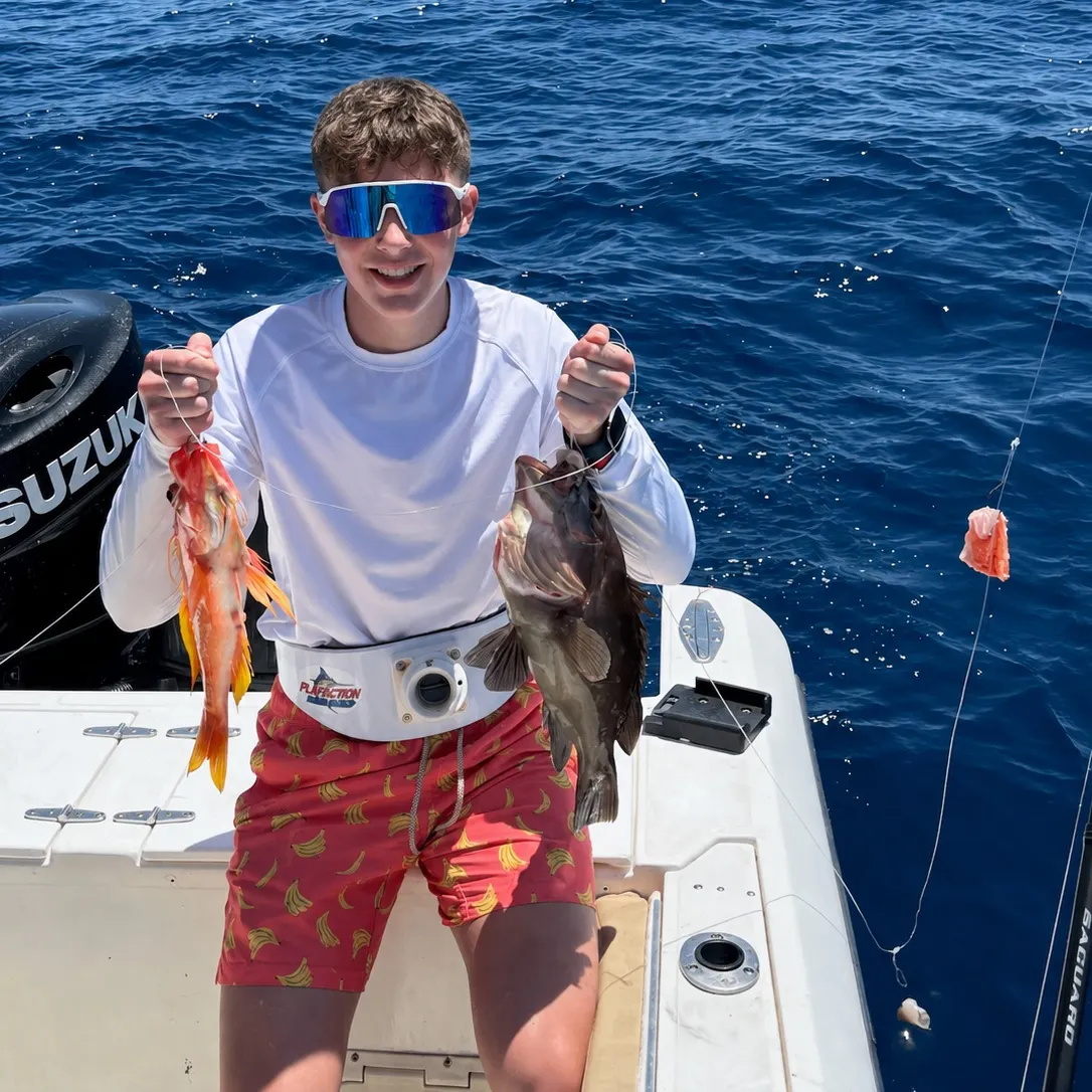 The most recent Small red scorpionfish catches on Fishbrain