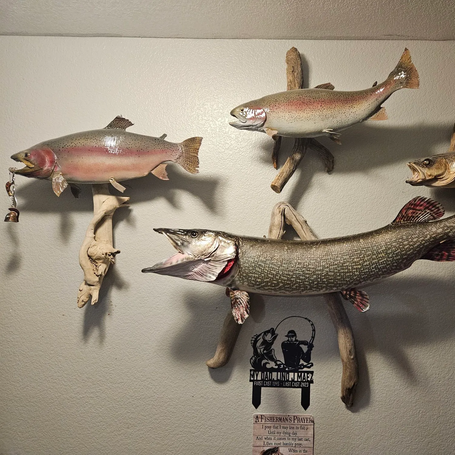 recently logged catches