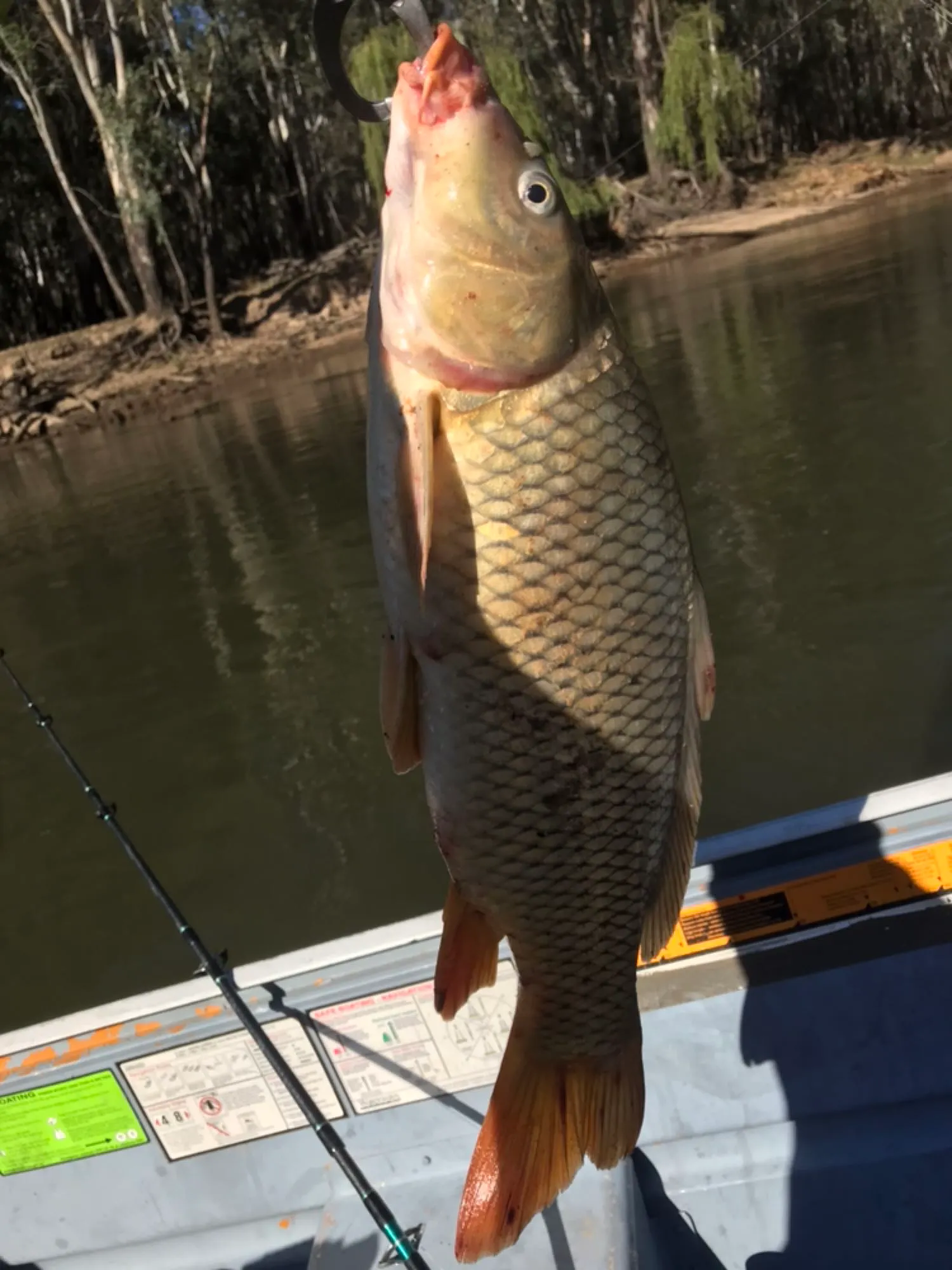 Post image from Doc-Yarrum