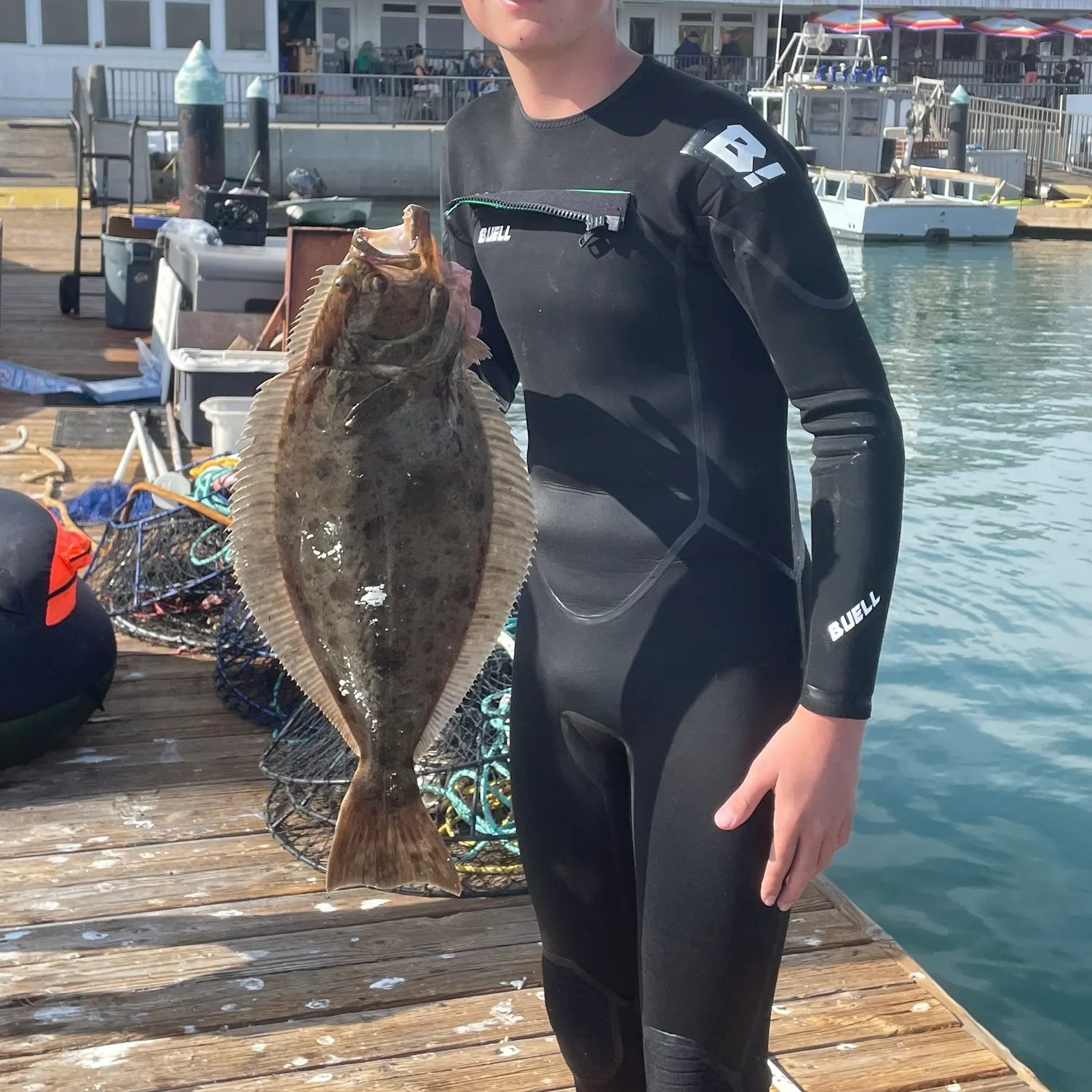 The most recent California halibut catches on Fishbrain