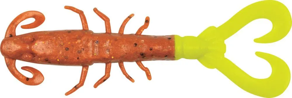 Saltwater Mantis Shrimp