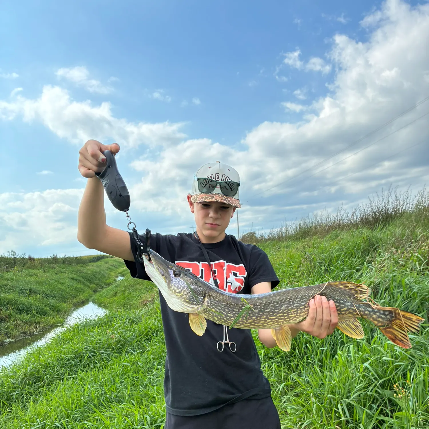 Northern pike caught on Fishbrain