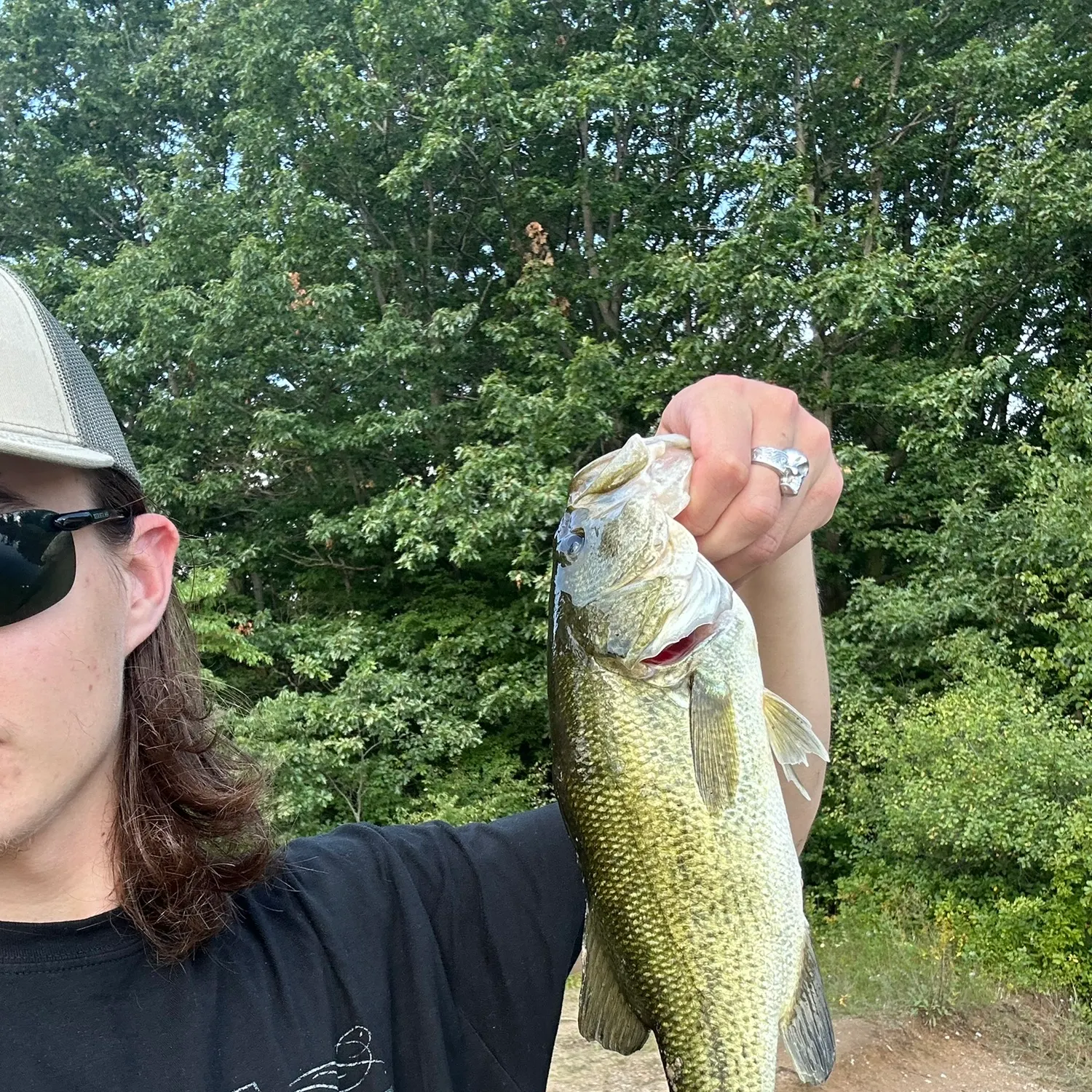 Largemouth bass caught on Fishbrain
