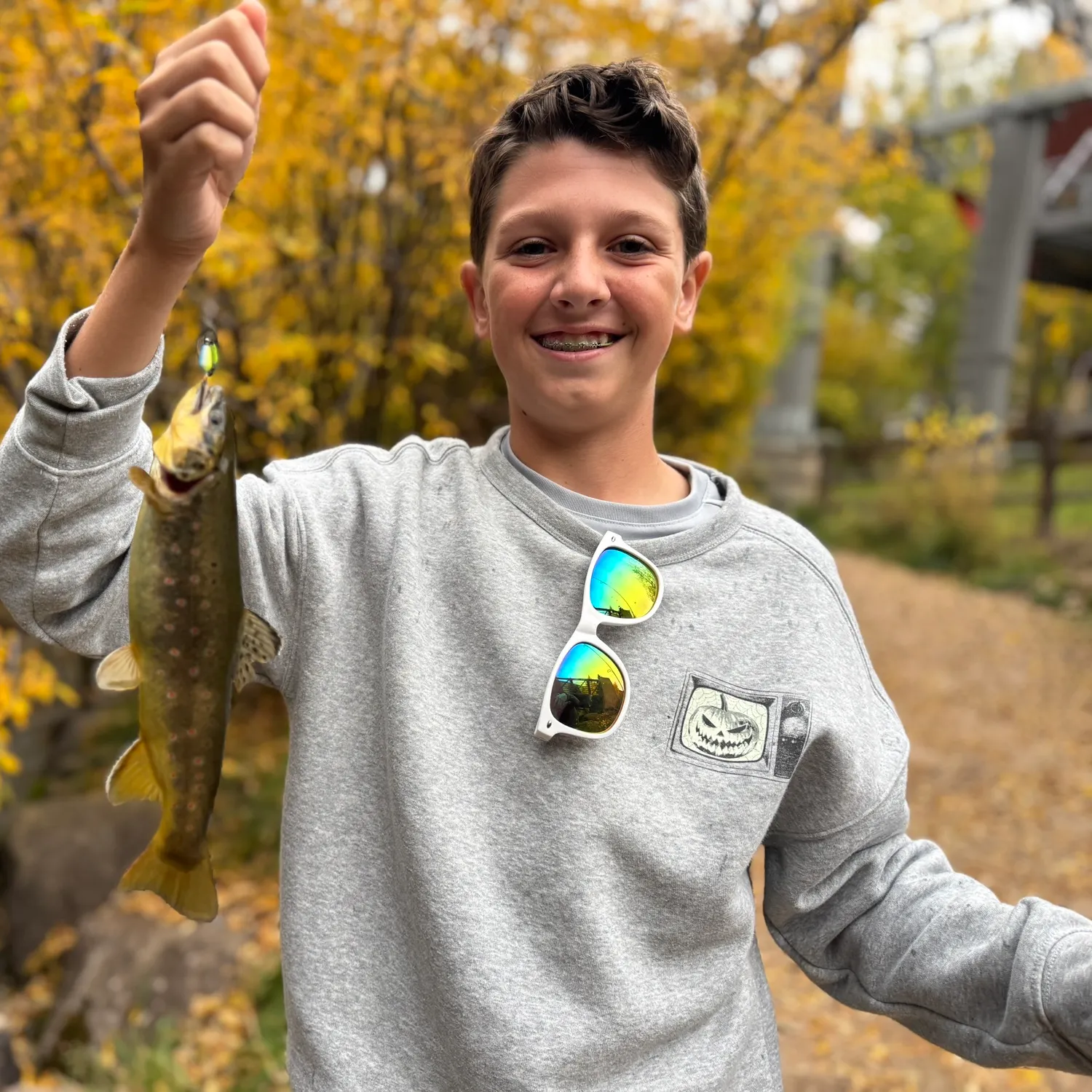 Brown trout caught on Fishbrain