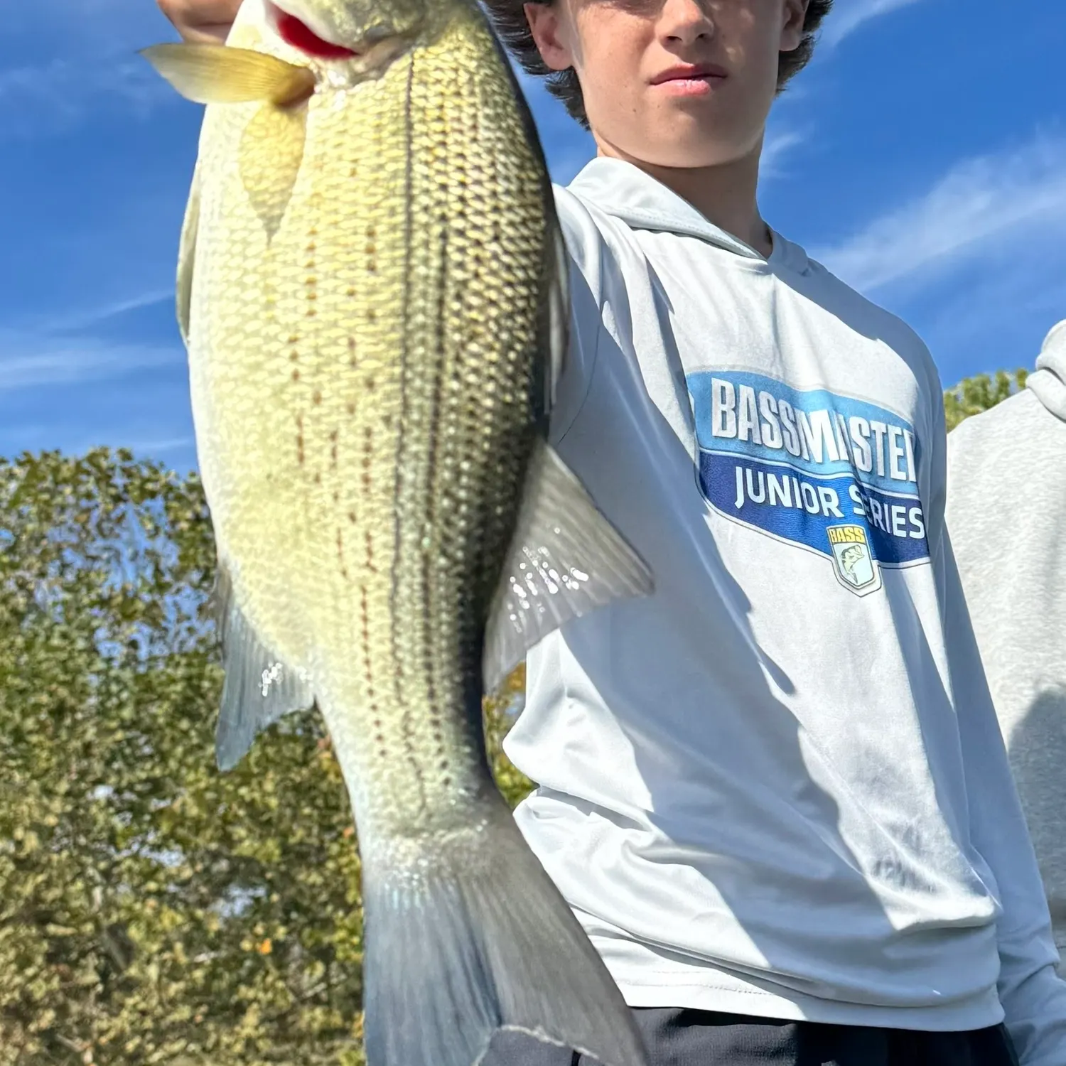 The most recent Gulf wobbegong catches on Fishbrain