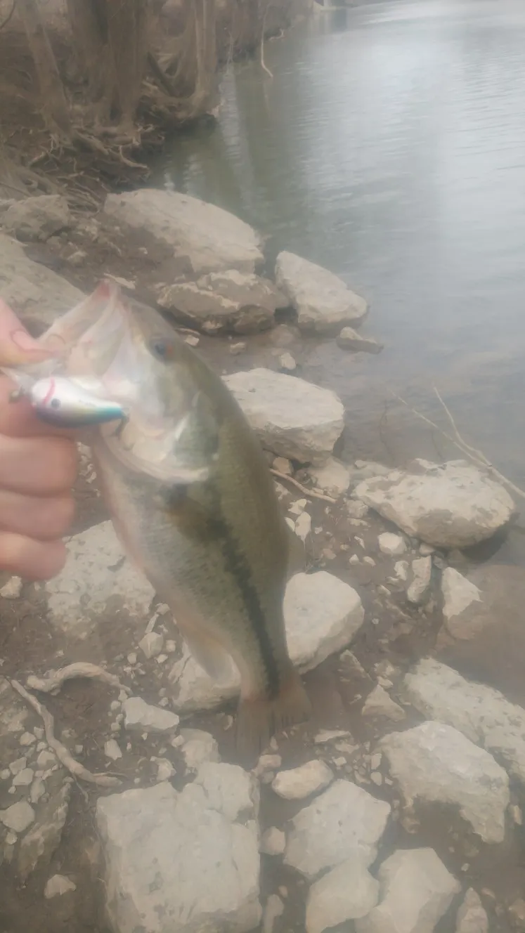 Post image from RiverRecon