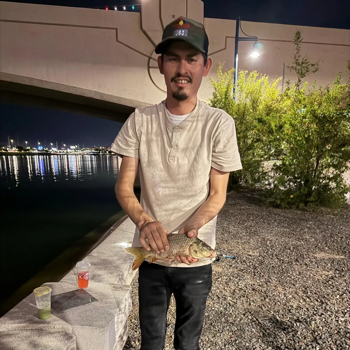 Common carp caught on Fishbrain