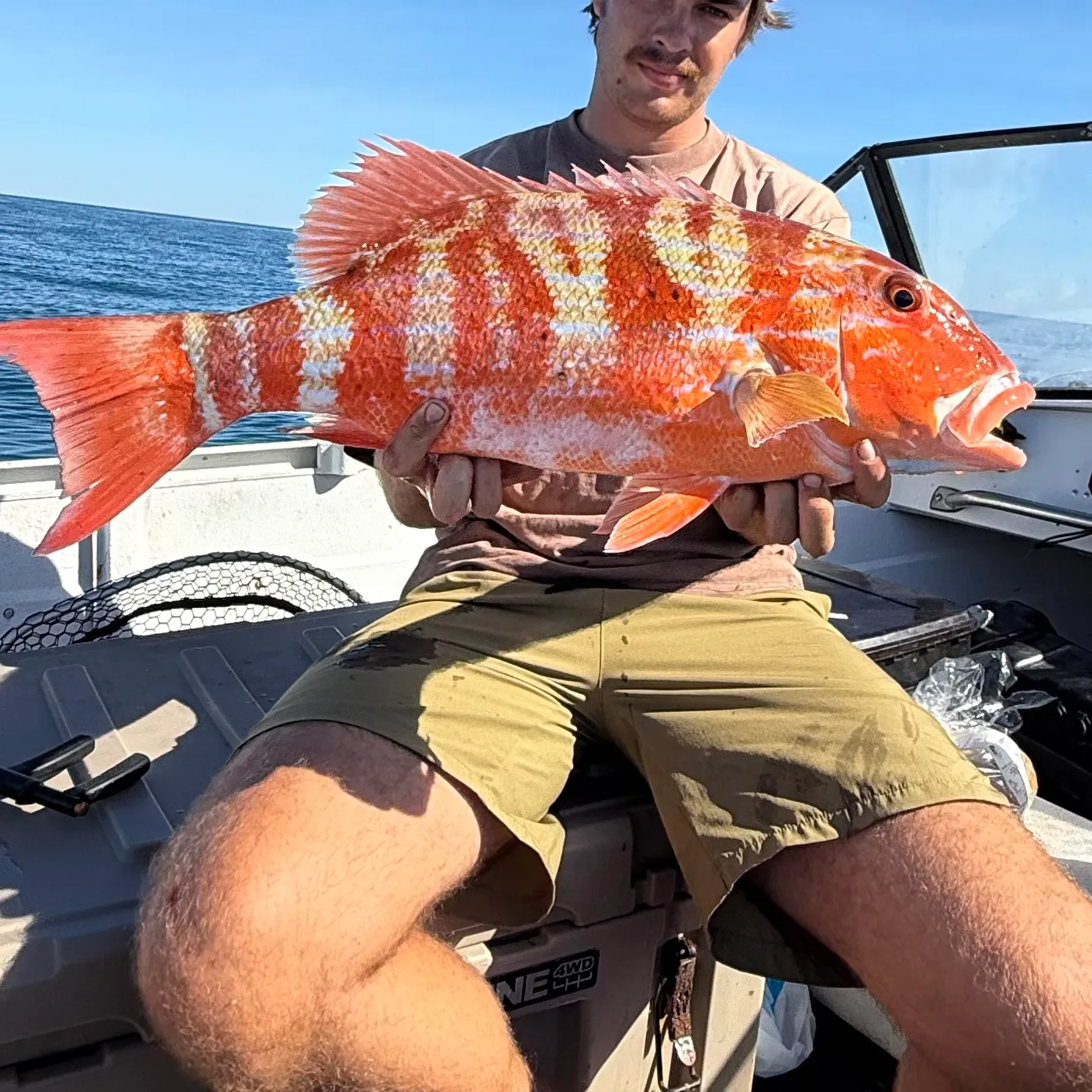 The most recent Chinaman snapper catches on Fishbrain