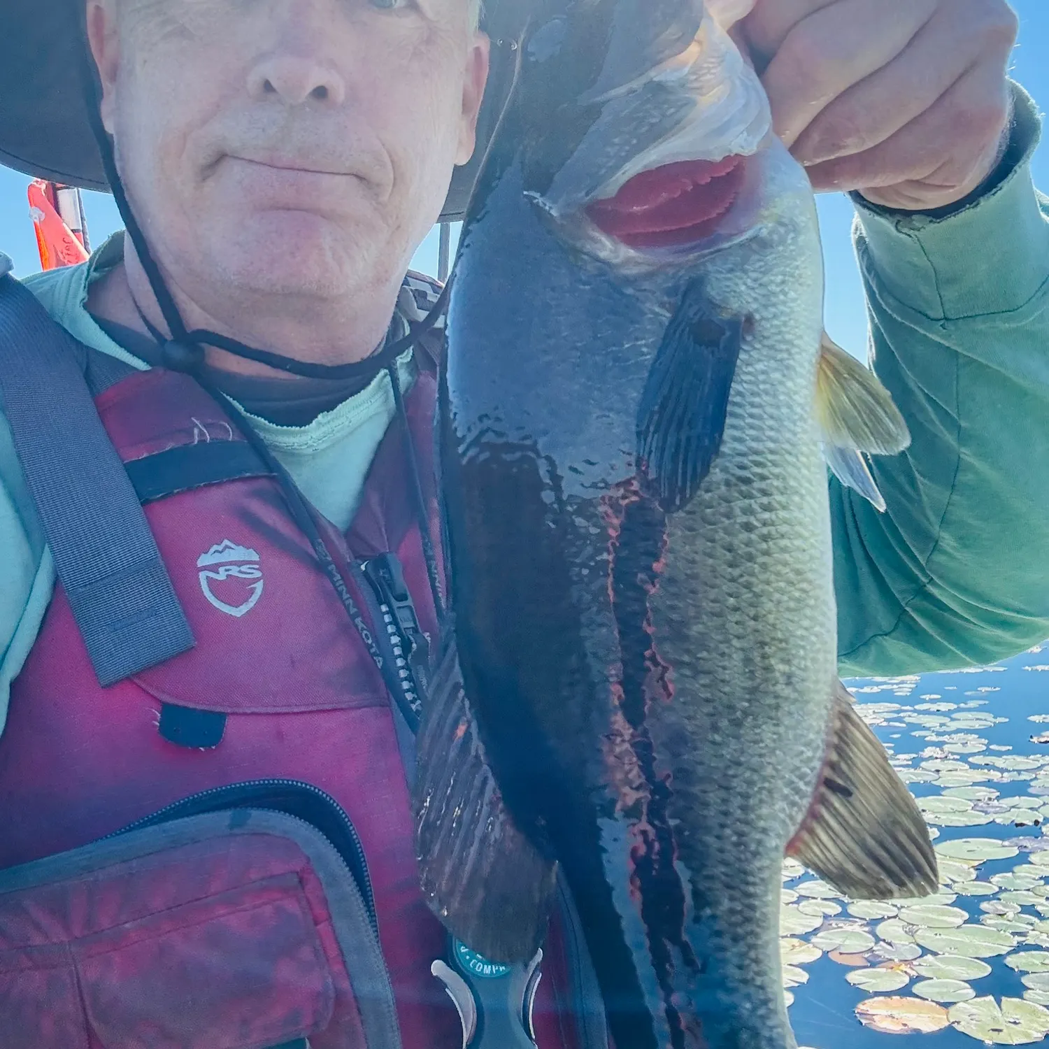 Largemouth bass caught on Fishbrain