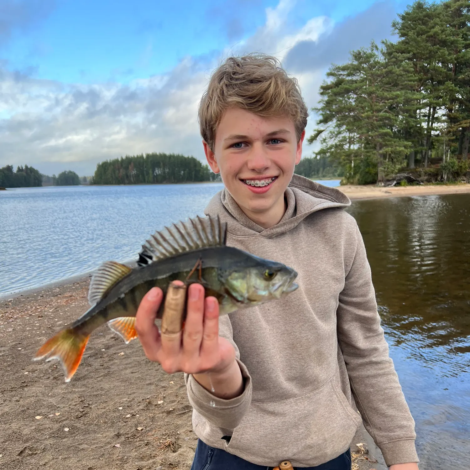 European perch caught on Fishbrain
