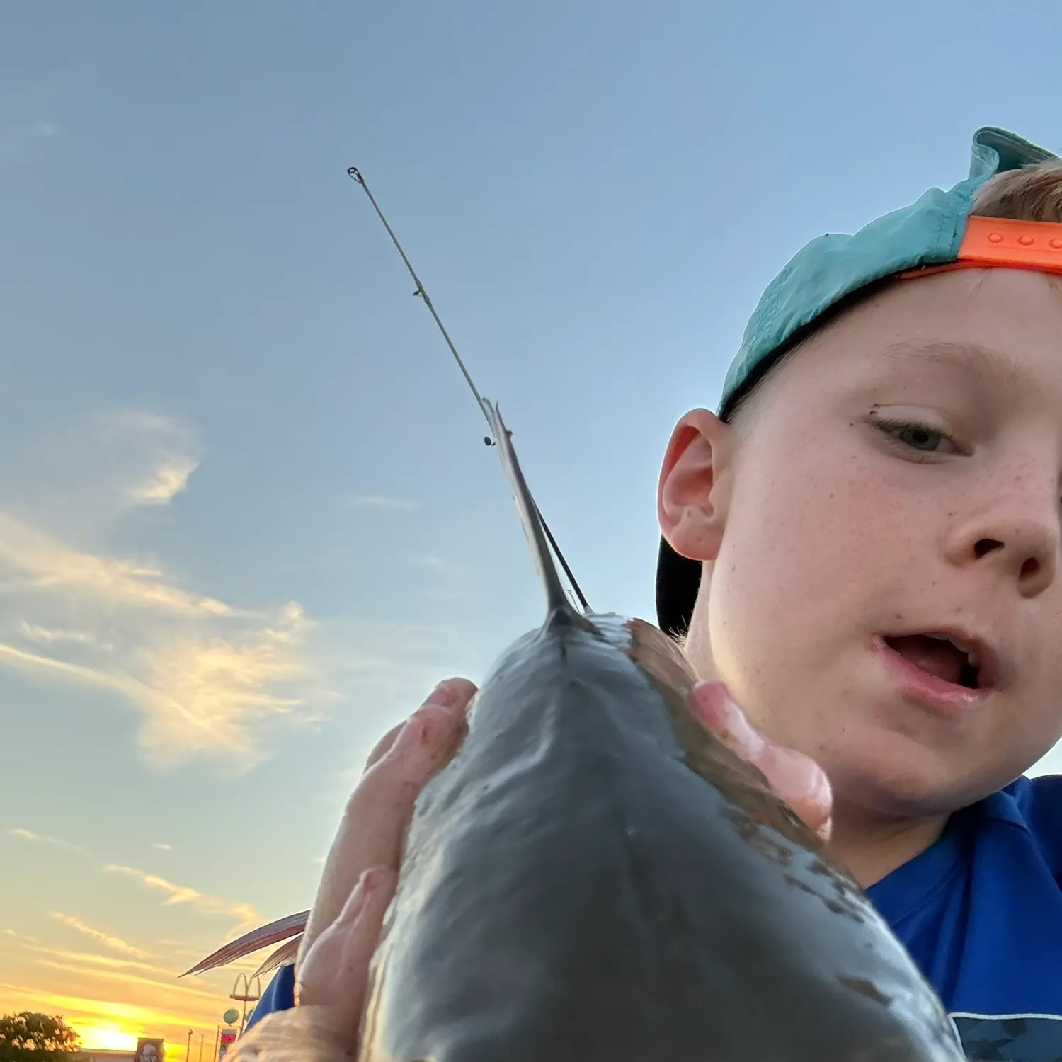 Channel catfish caught on Fishbrain
