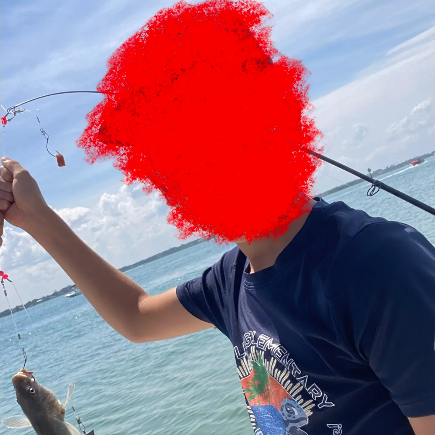 The most recent King George whiting catches on Fishbrain