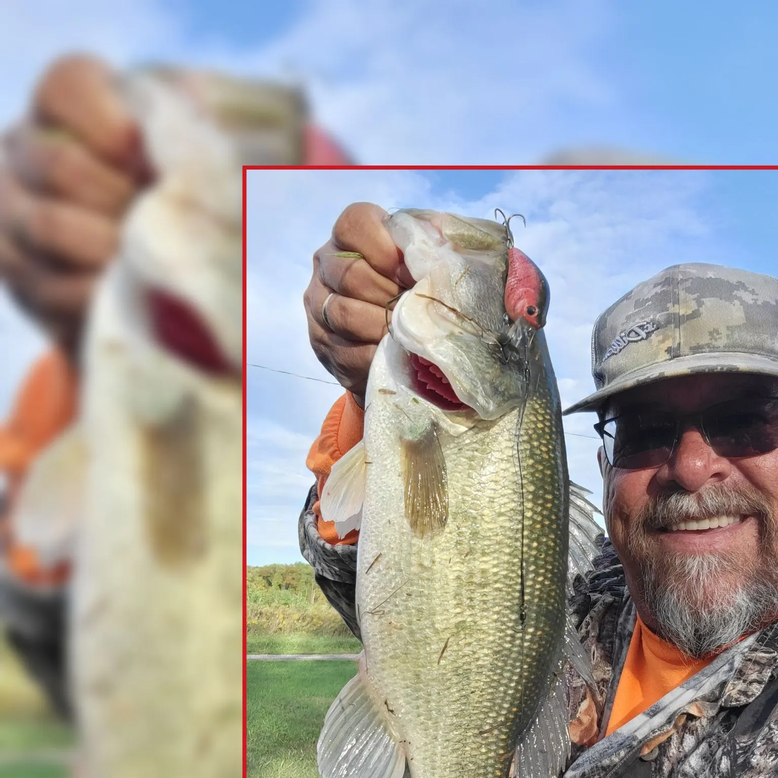 Largemouth bass caught on Fishbrain