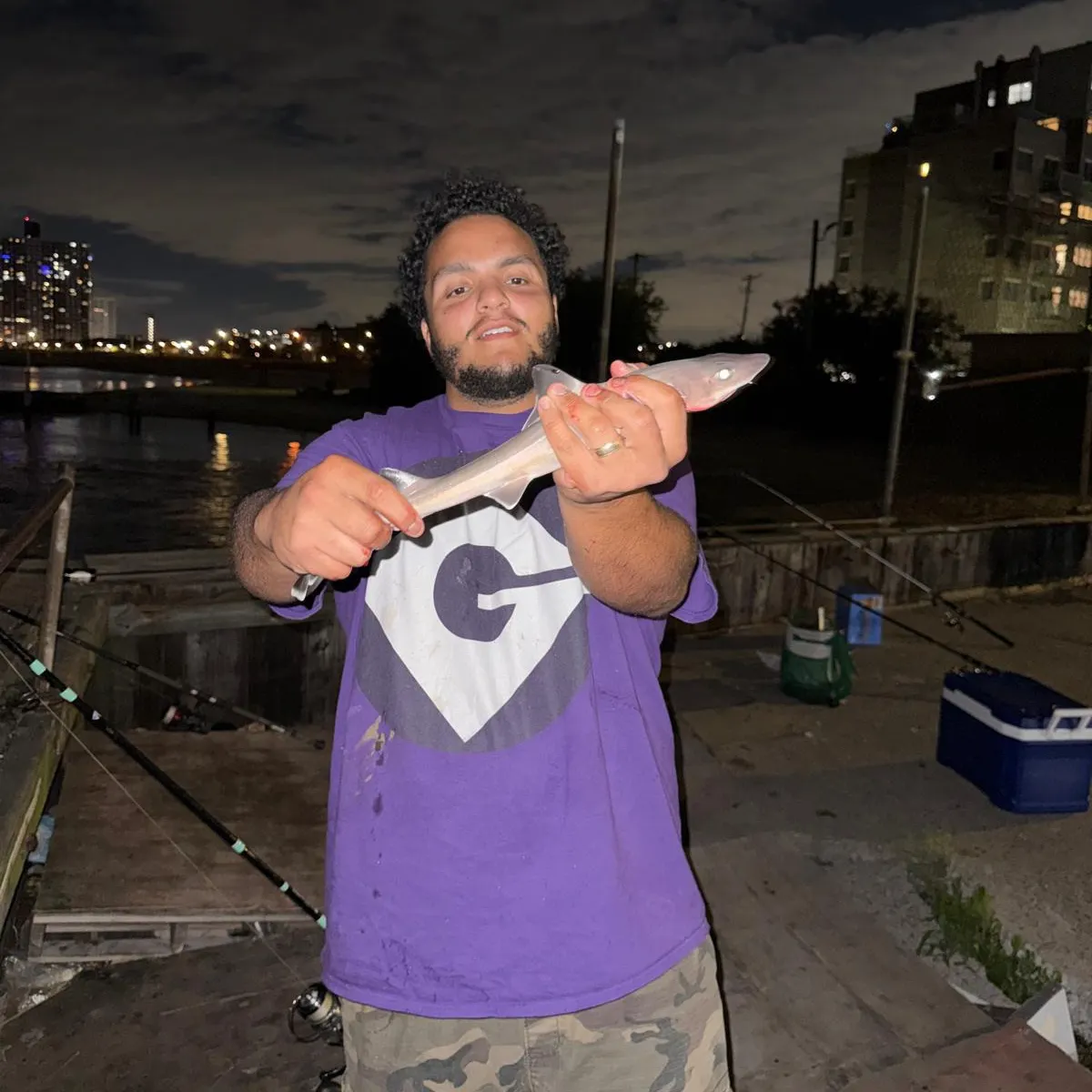 The most recent Piked dogfish catches on Fishbrain