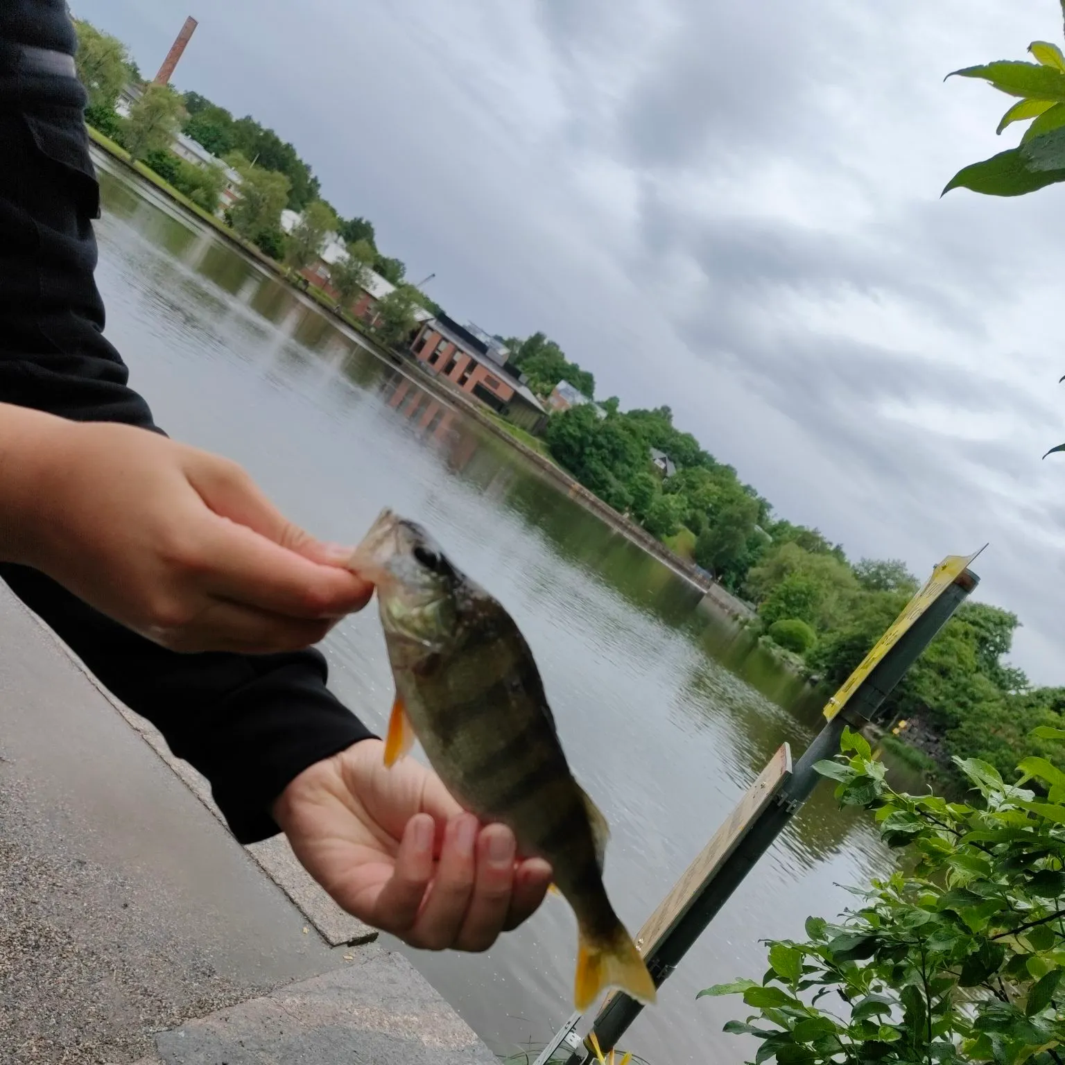 catch