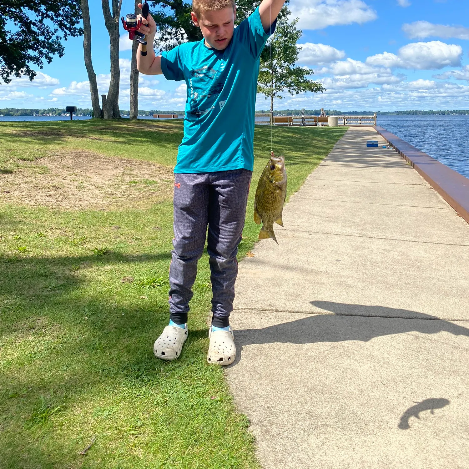 The most recent Rock bass catches on Fishbrain