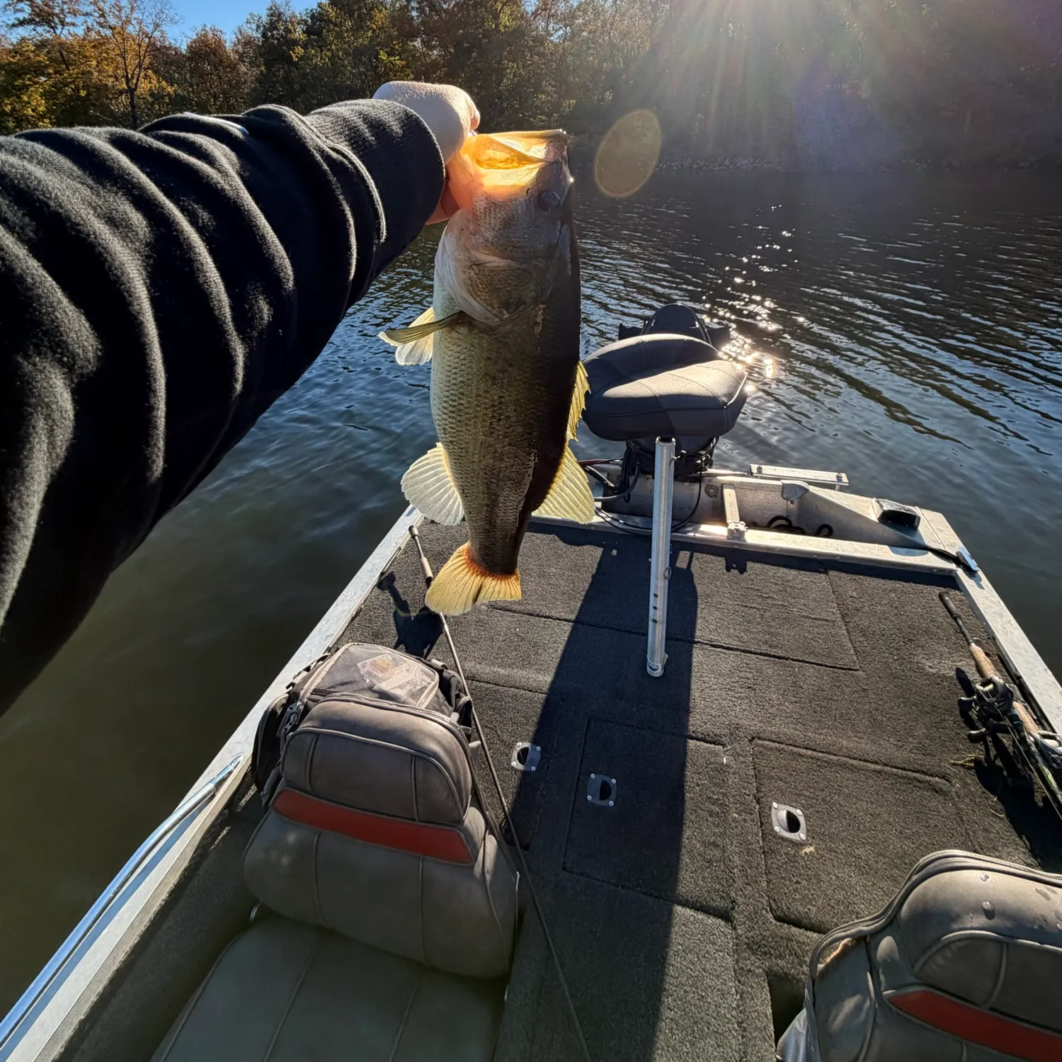 Largemouth bass caught on Fishbrain