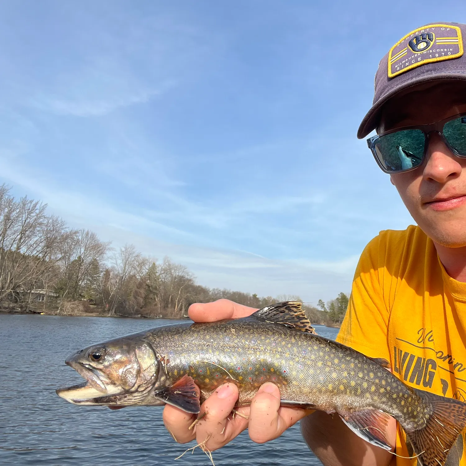 The most recent Brook trout catches on Fishbrain