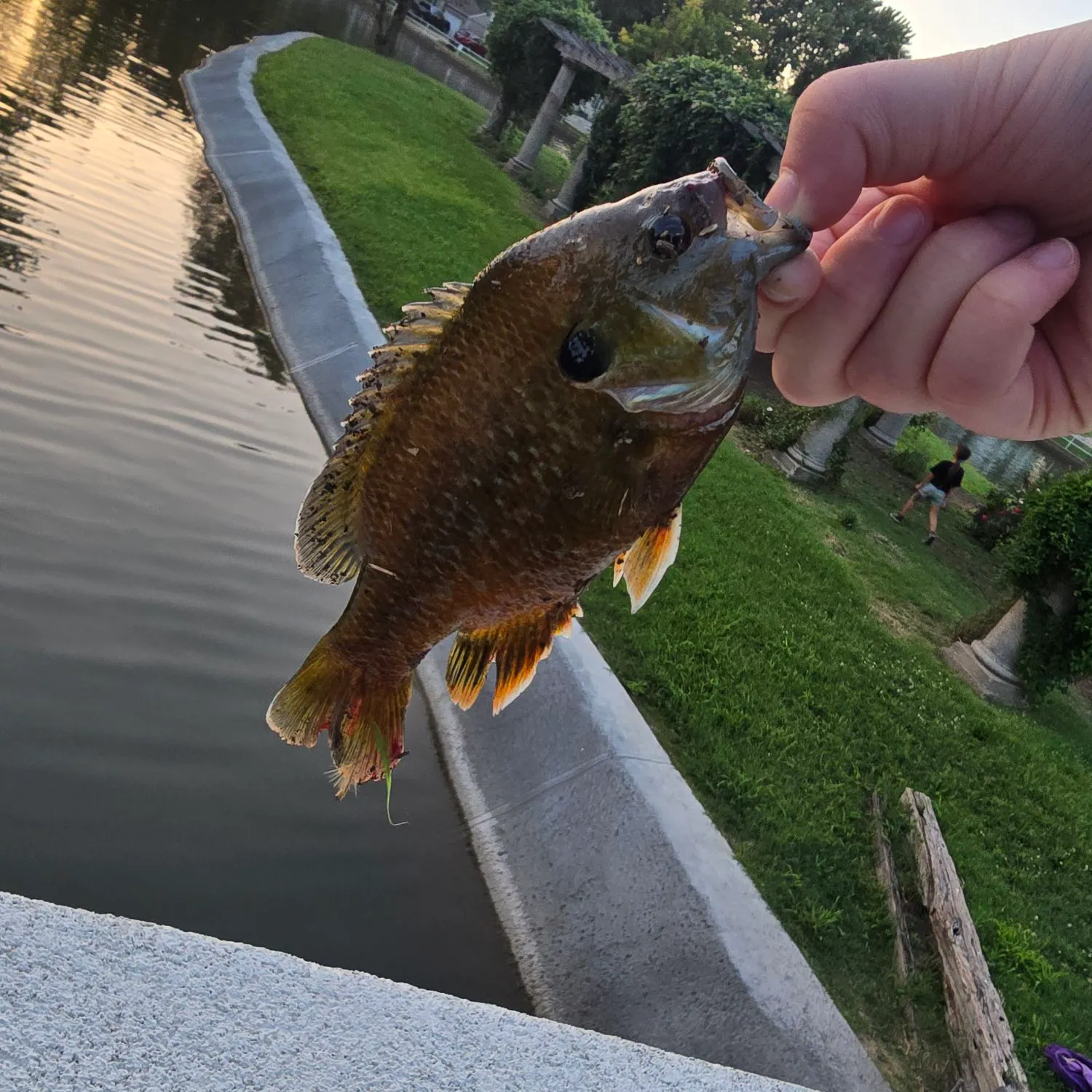 catch