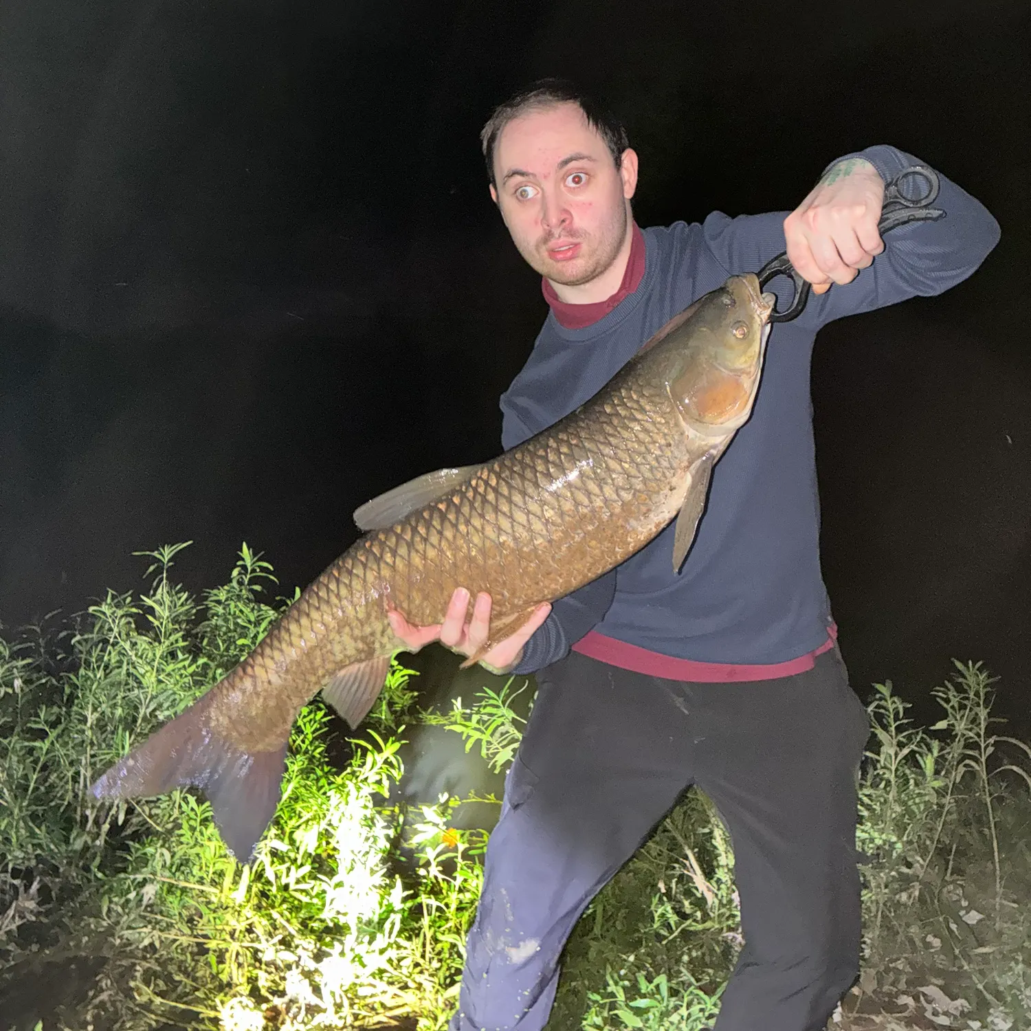 Grass carp caught on Fishbrain