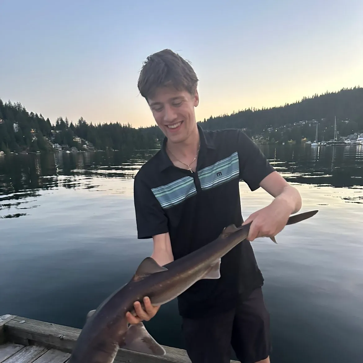 The most recent Pacific spiny dogfish catches on Fishbrain