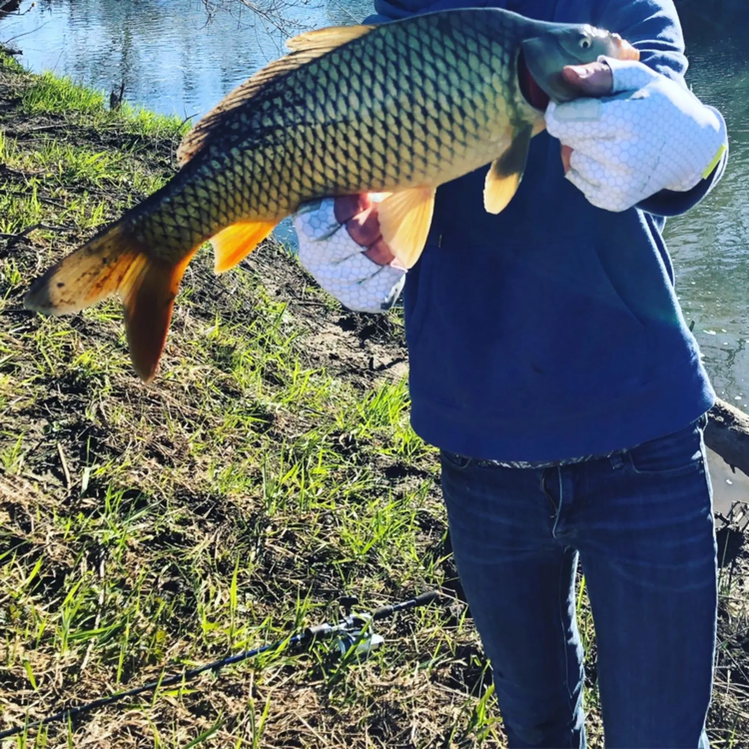 angler catch