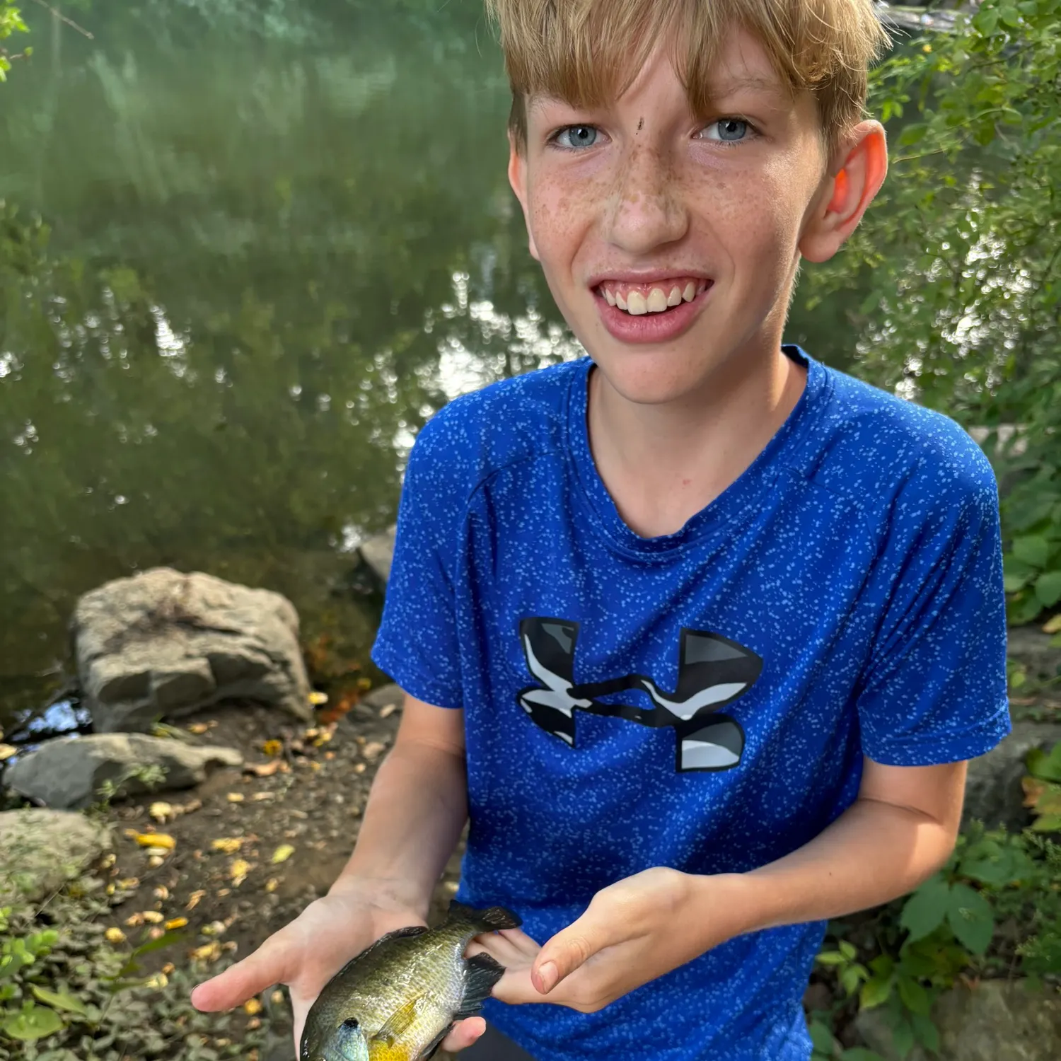 Bluegill caught on Fishbrain