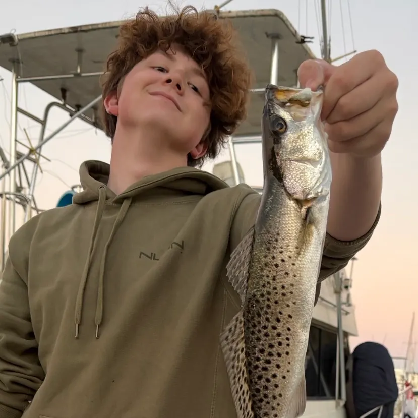 The most recent Spotted seatrout catches on Fishbrain