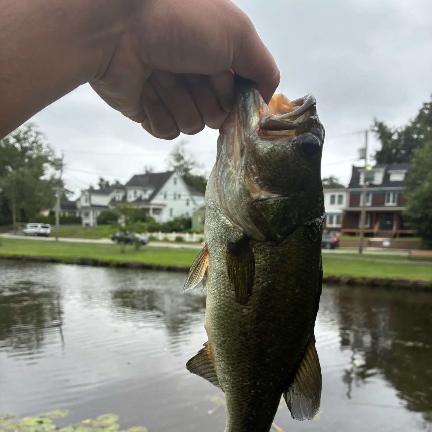 catch