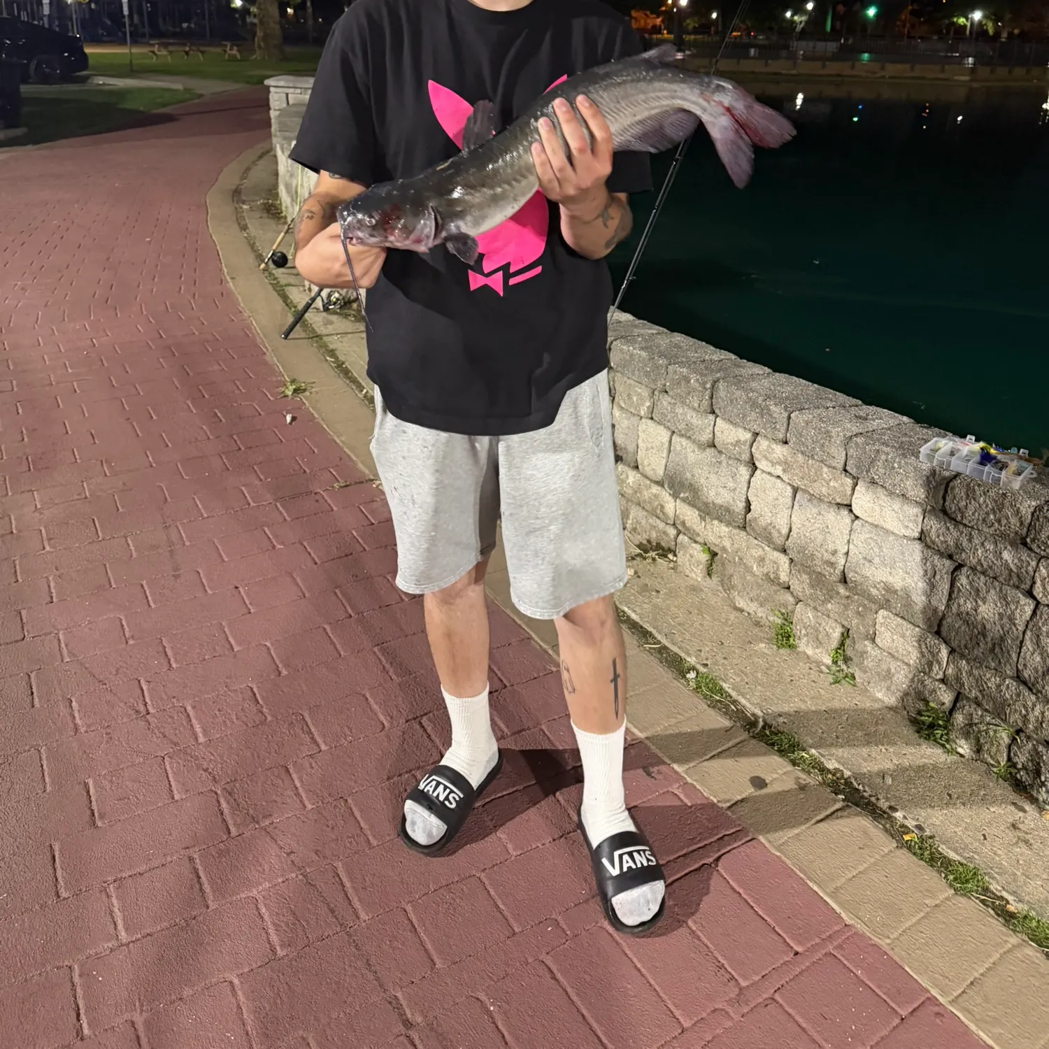 Channel catfish caught on Fishbrain