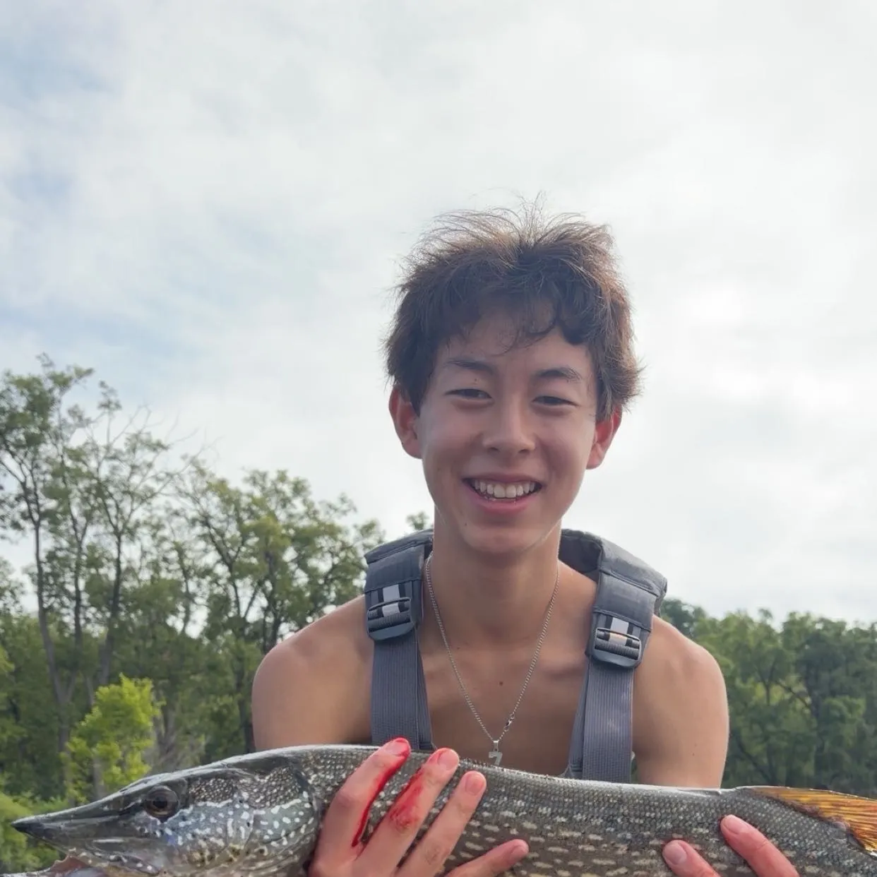 Northern pike caught on Fishbrain