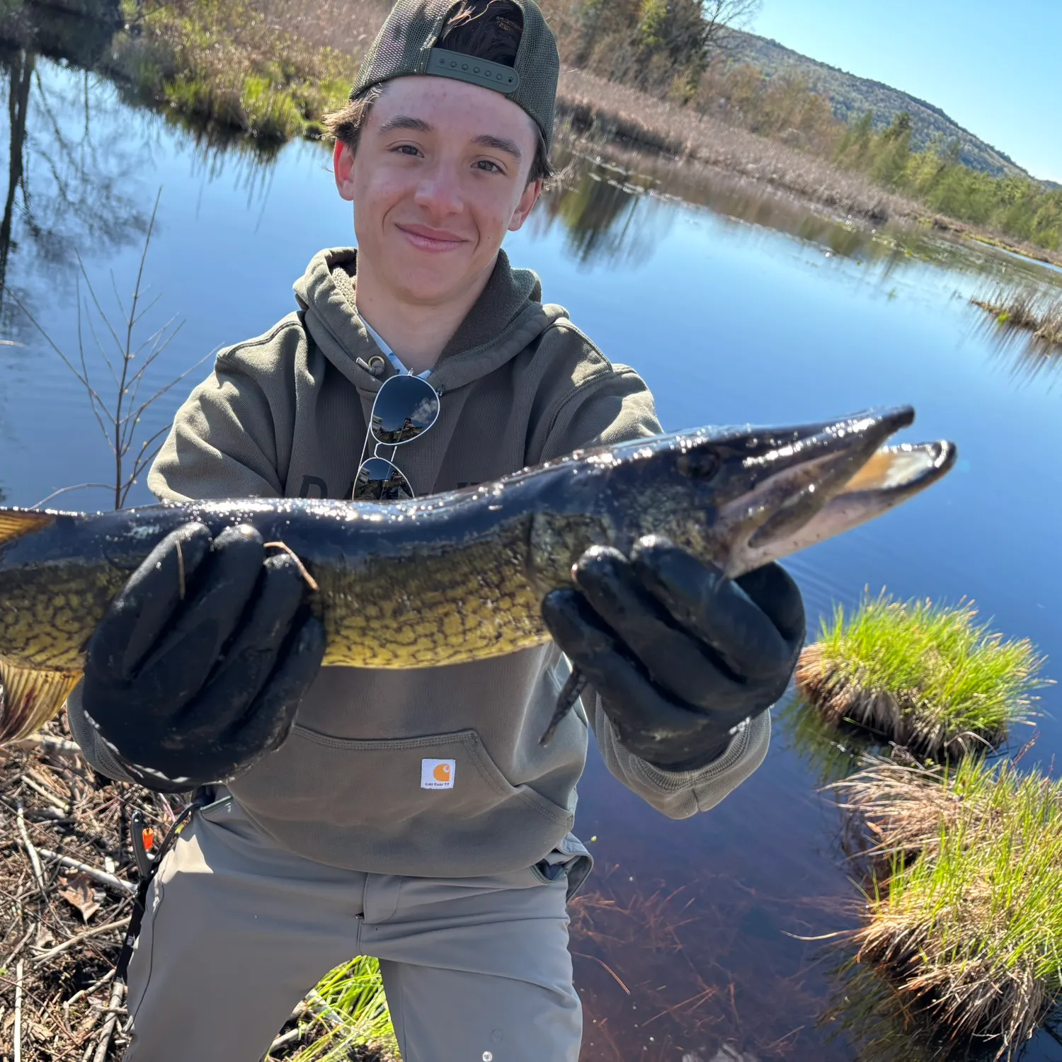 catch