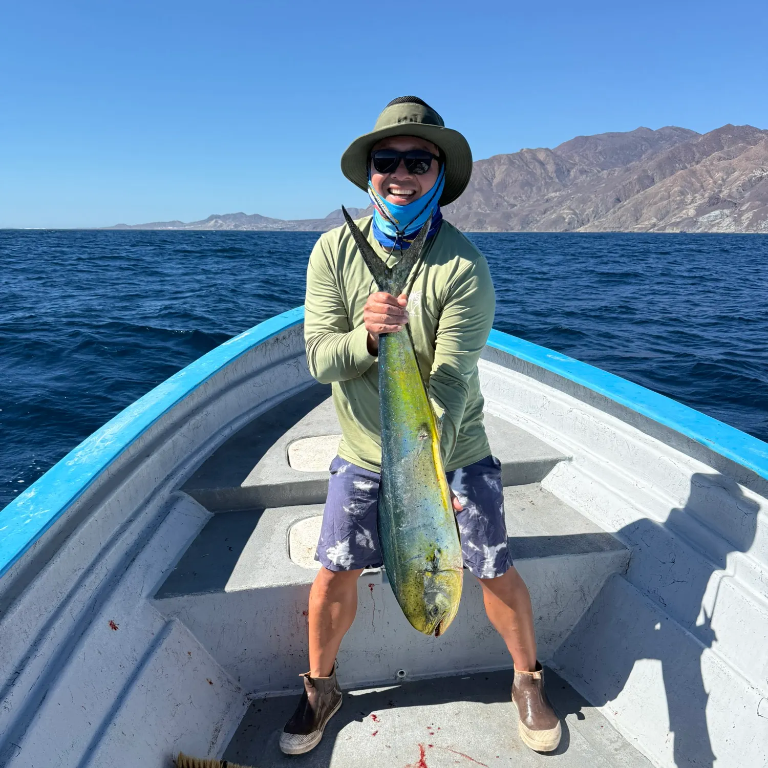 Common dolphinfish caught on Fishbrain