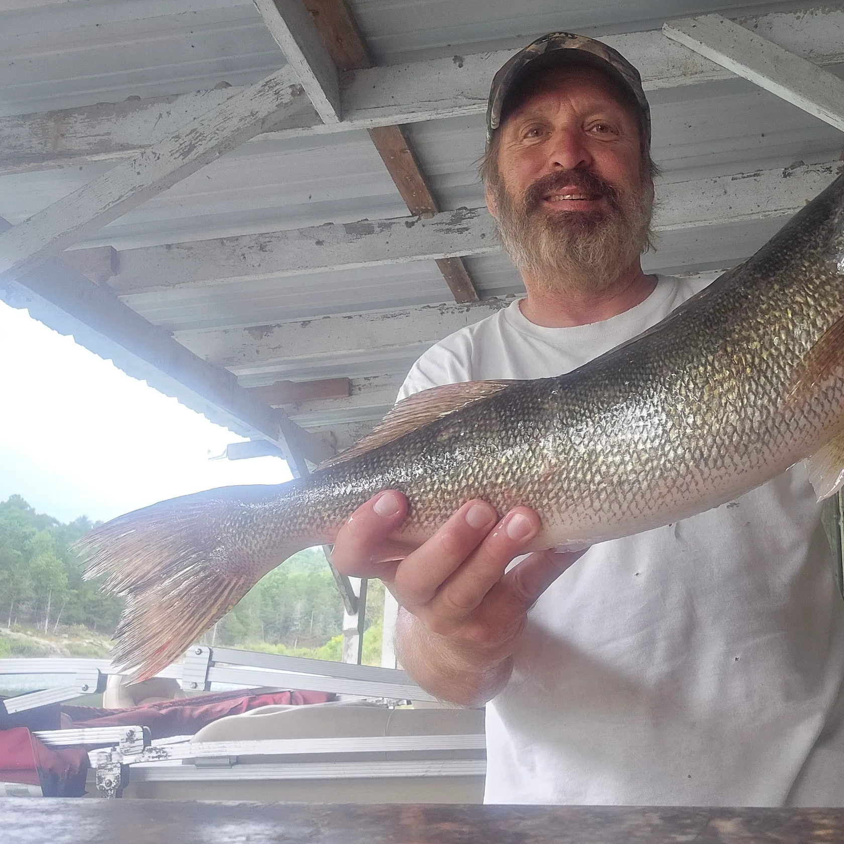 Walleye caught on Fishbrain