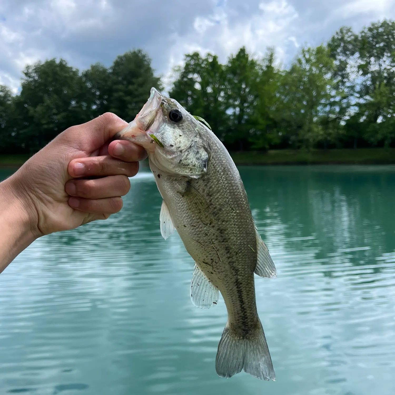 most liked catch image