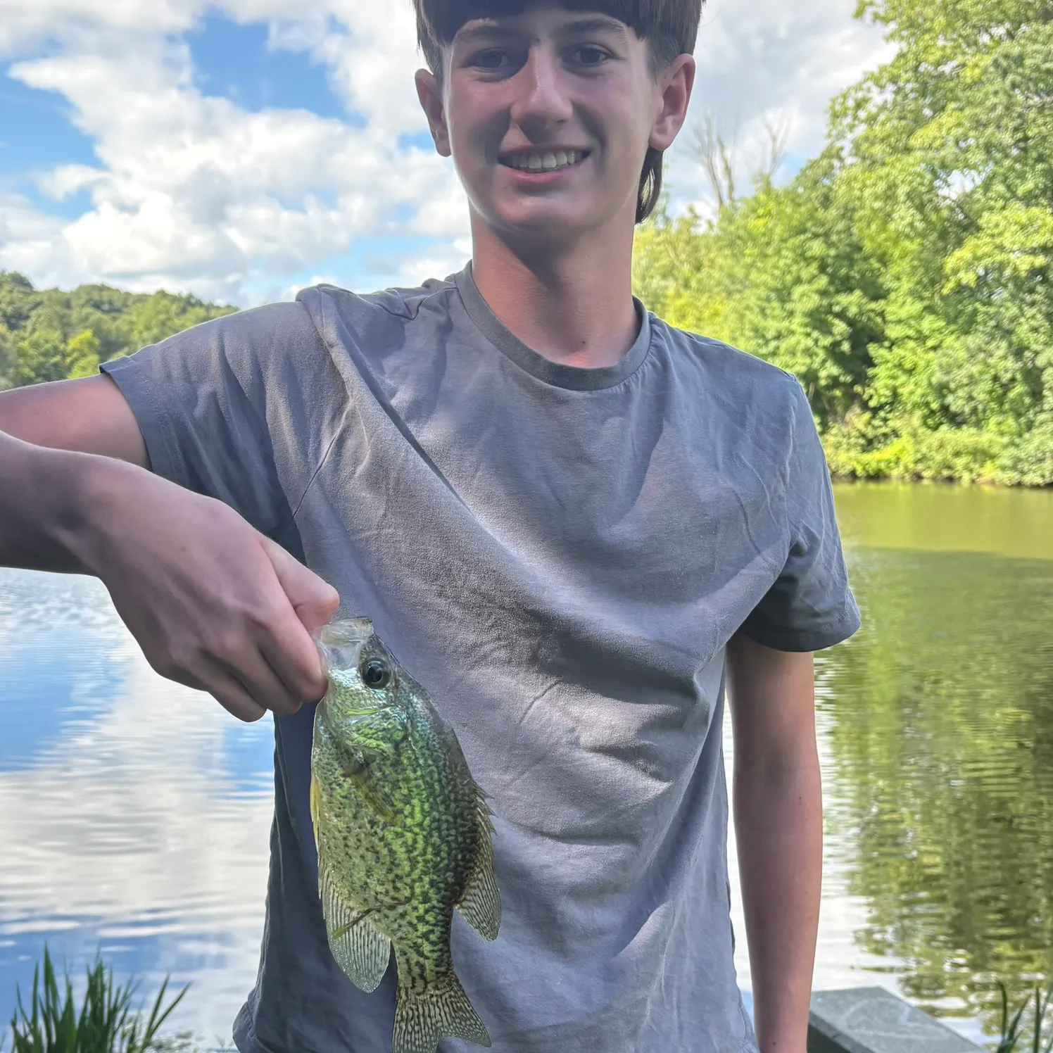 Black crappie caught on Fishbrain