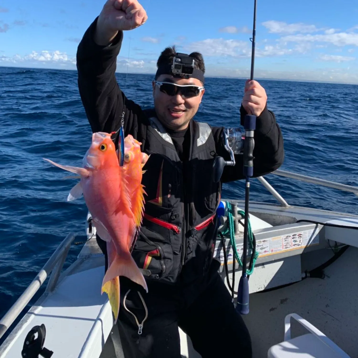 The most recent Pink maomao catches on Fishbrain