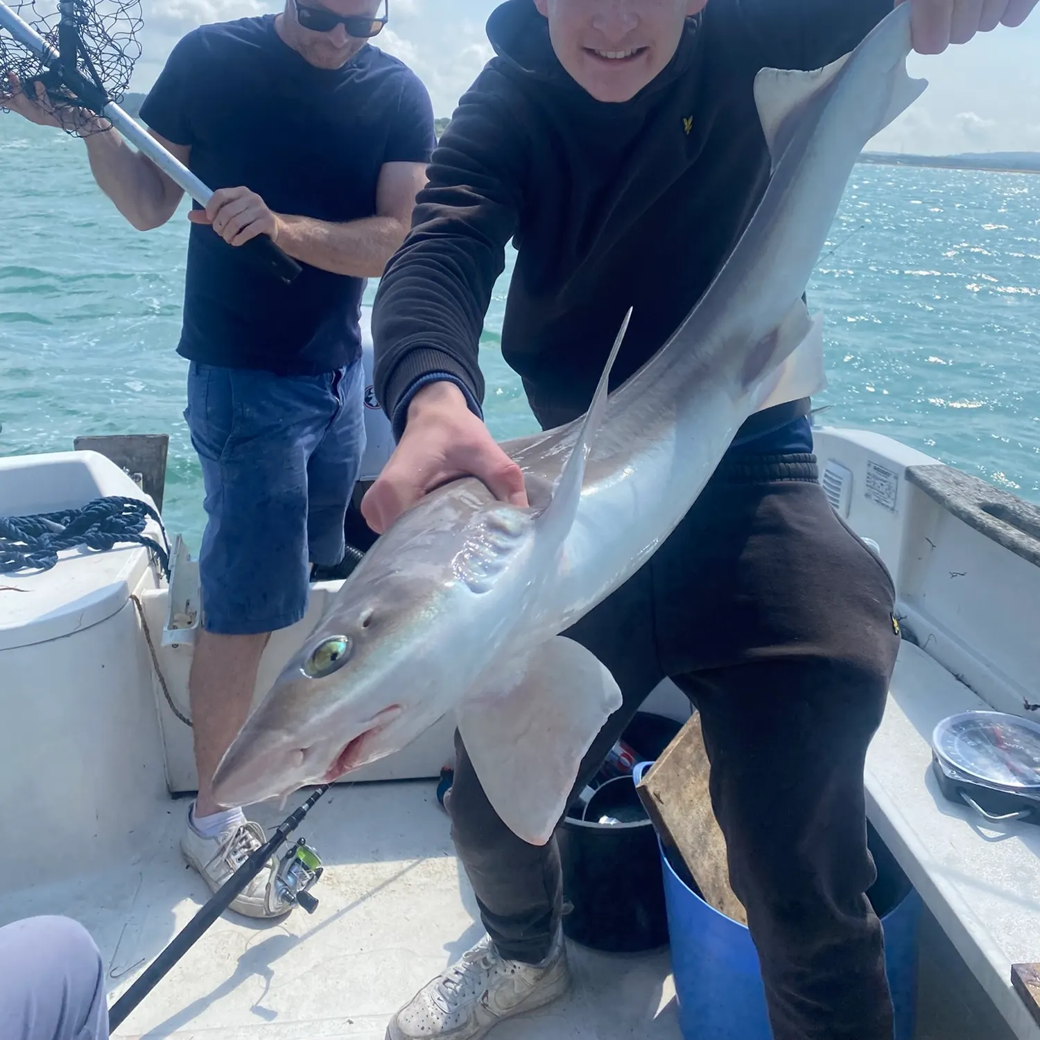 The most recent Starry smooth-hound catches on Fishbrain