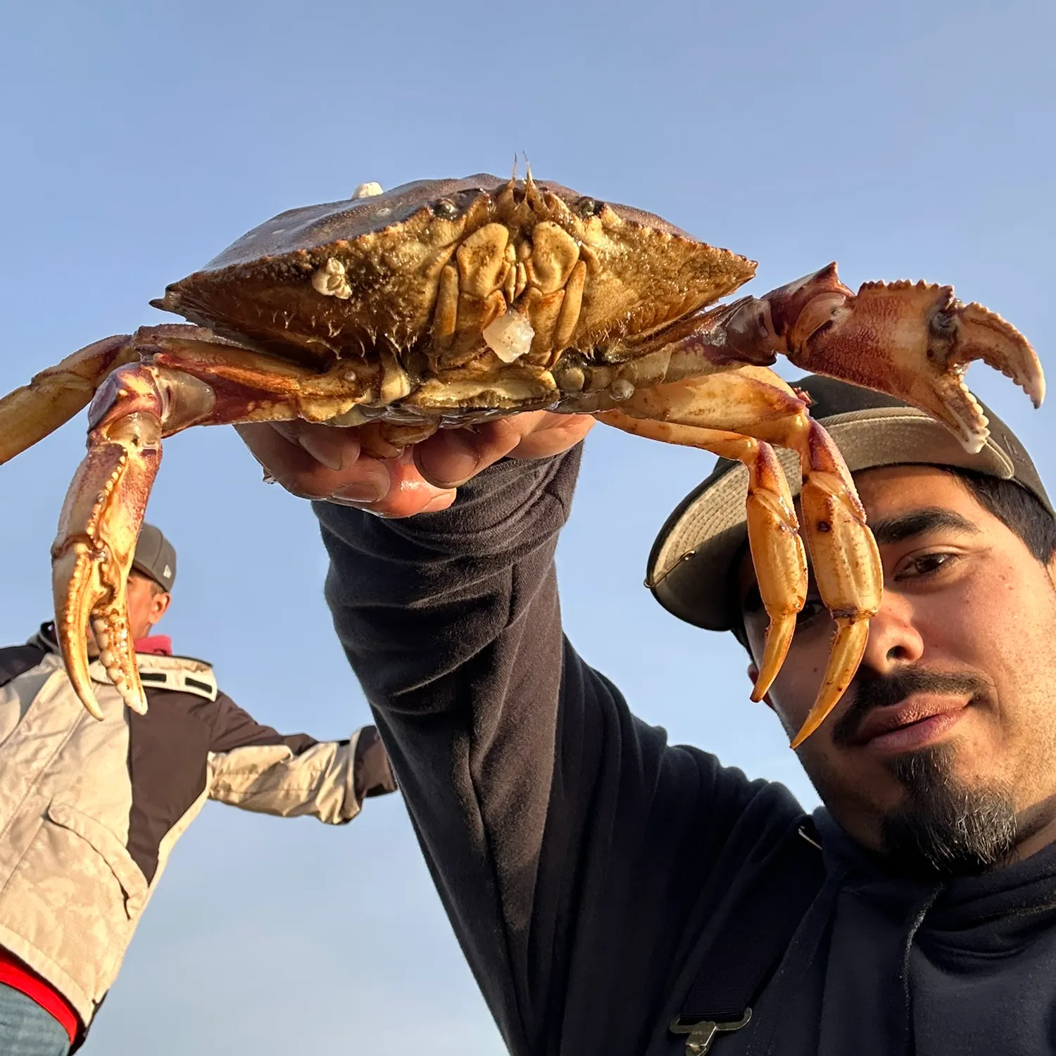 The most recent Dungeness crab catches on Fishbrain