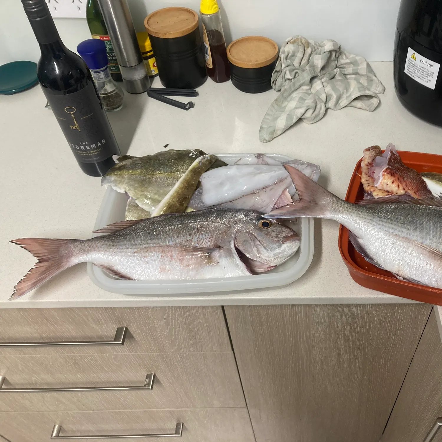 recently logged catches